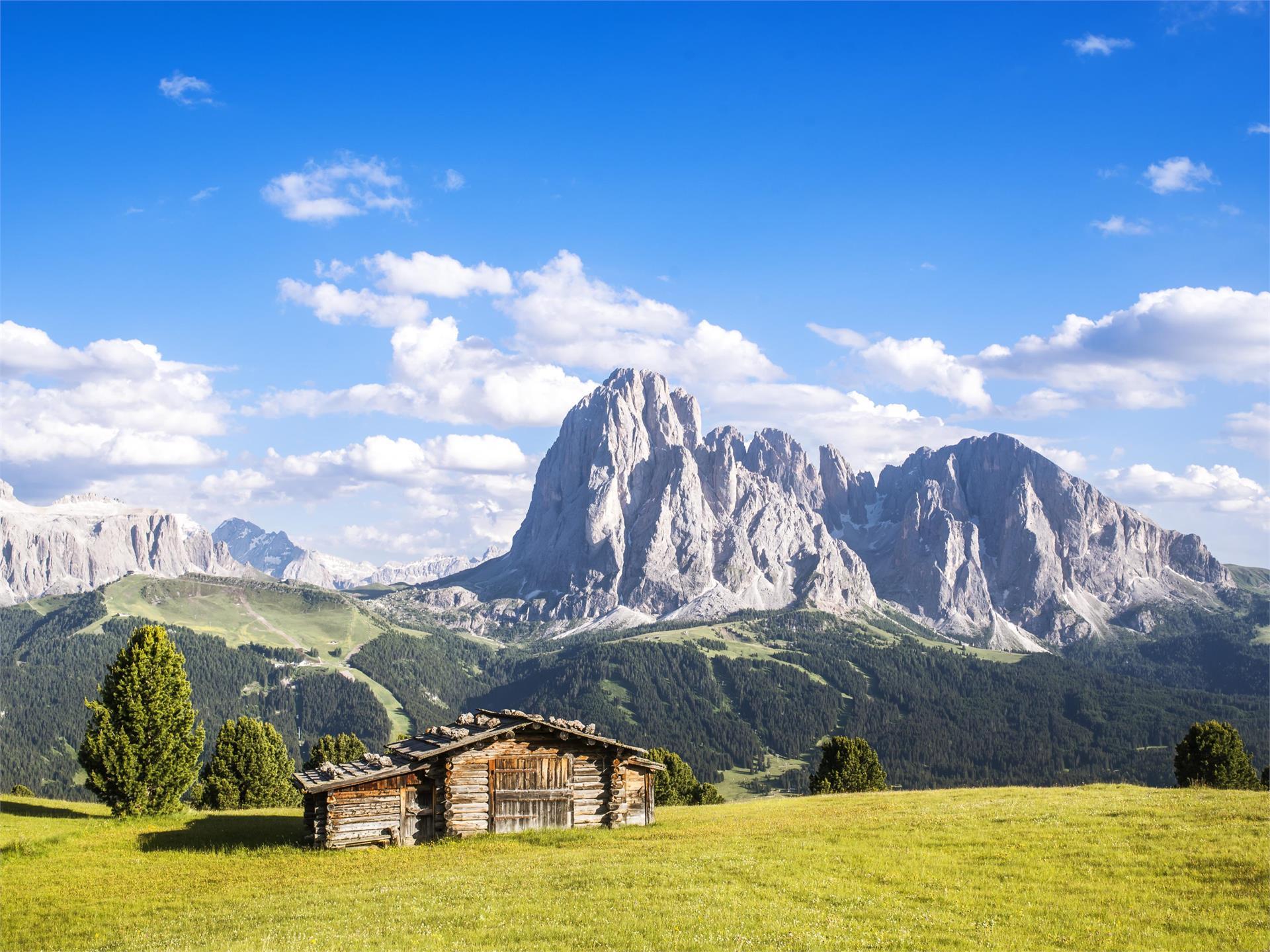Escursione al terrazzo panoramico Sëurasas Santa Cristina Val Gardena 5 suedtirol.info