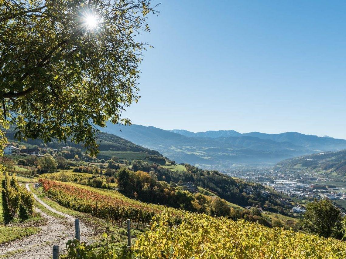Wanderung von Raas durch die Weinberge nach Brixen Natz-Schabs 1 suedtirol.info