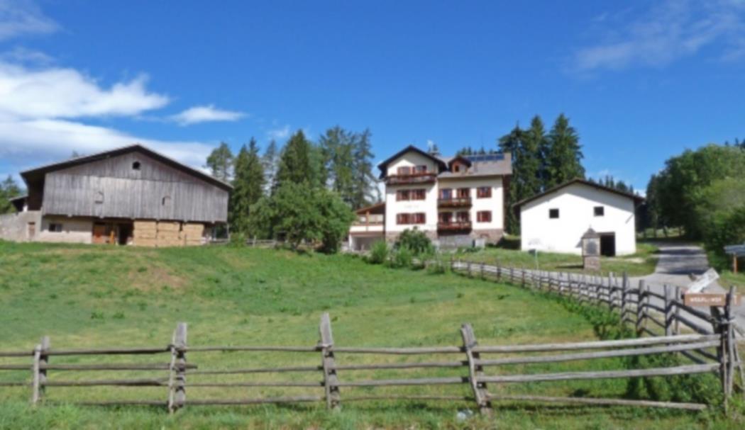 Wanderung zum Wölflhof  1 suedtirol.info
