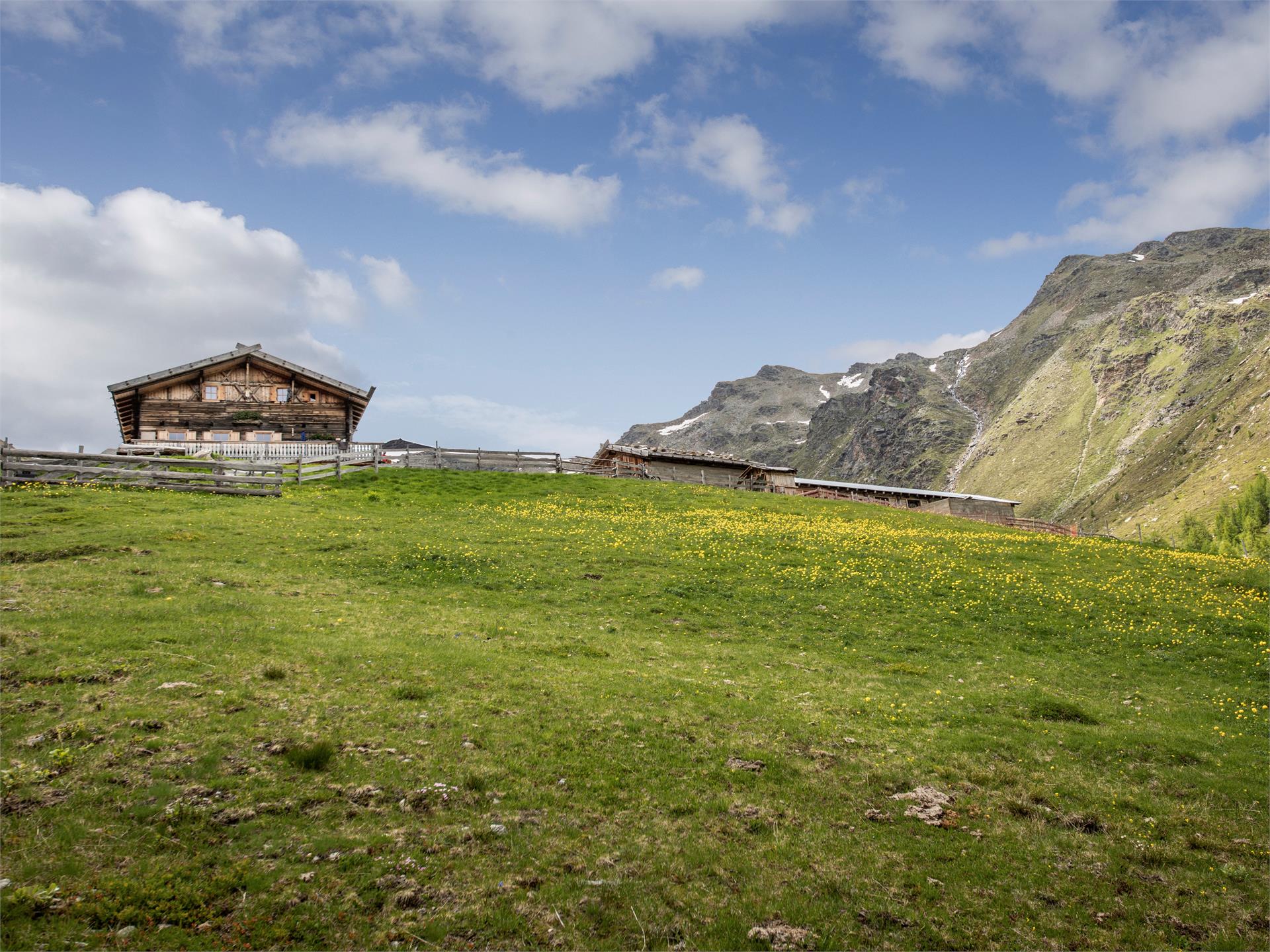 Escursione alla malga "Innerfalkomai" Ultimo 1 suedtirol.info