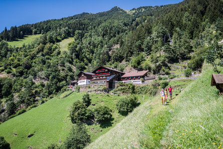 Wanderung zum Mutkopf Tirol 4 suedtirol.info