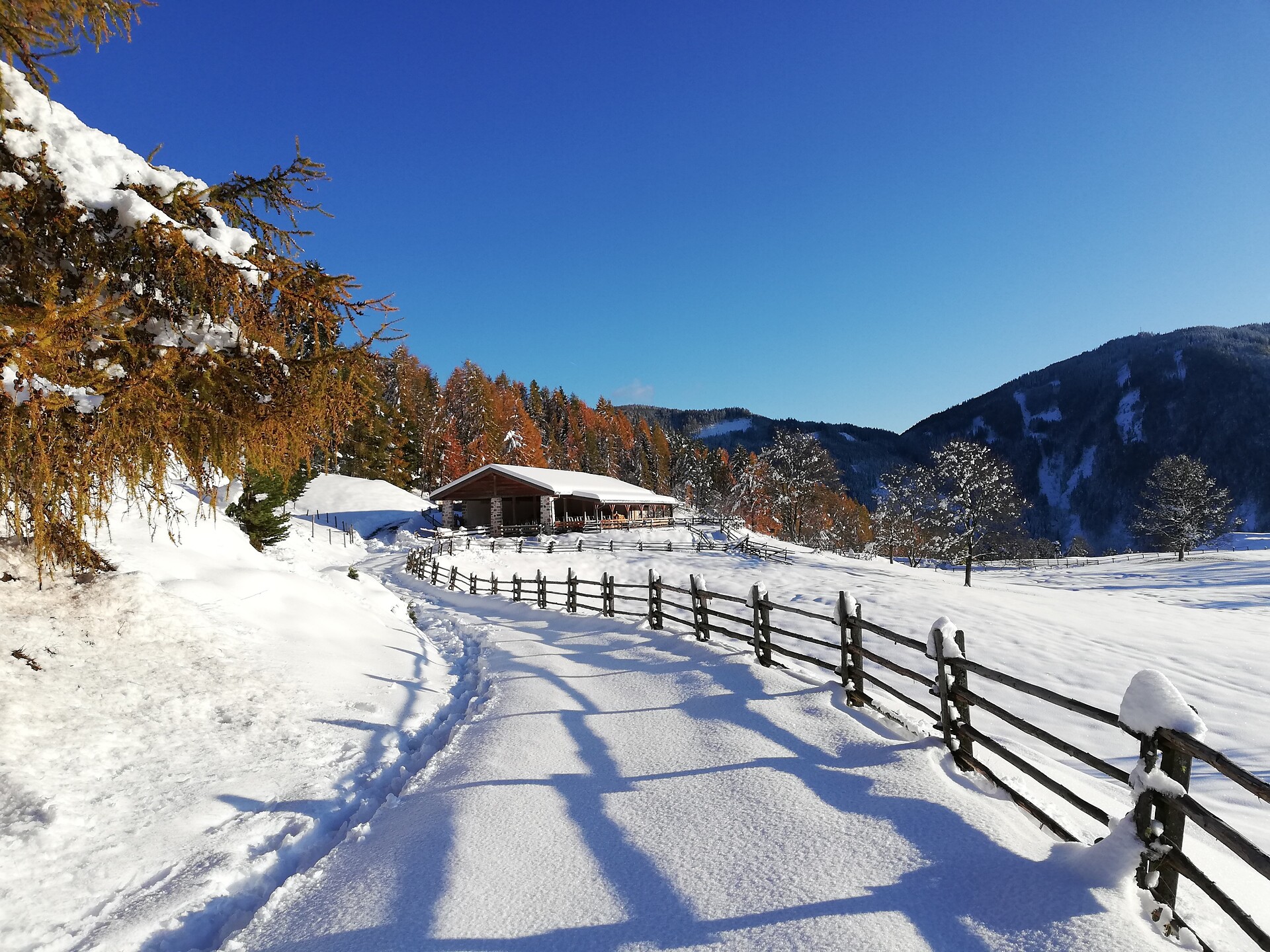 Cisloner Alm