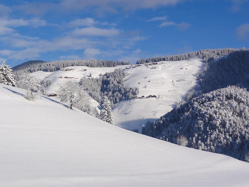 Passeggiata invernale da Picolin al giogo Ju San Martino 1 suedtirol.info