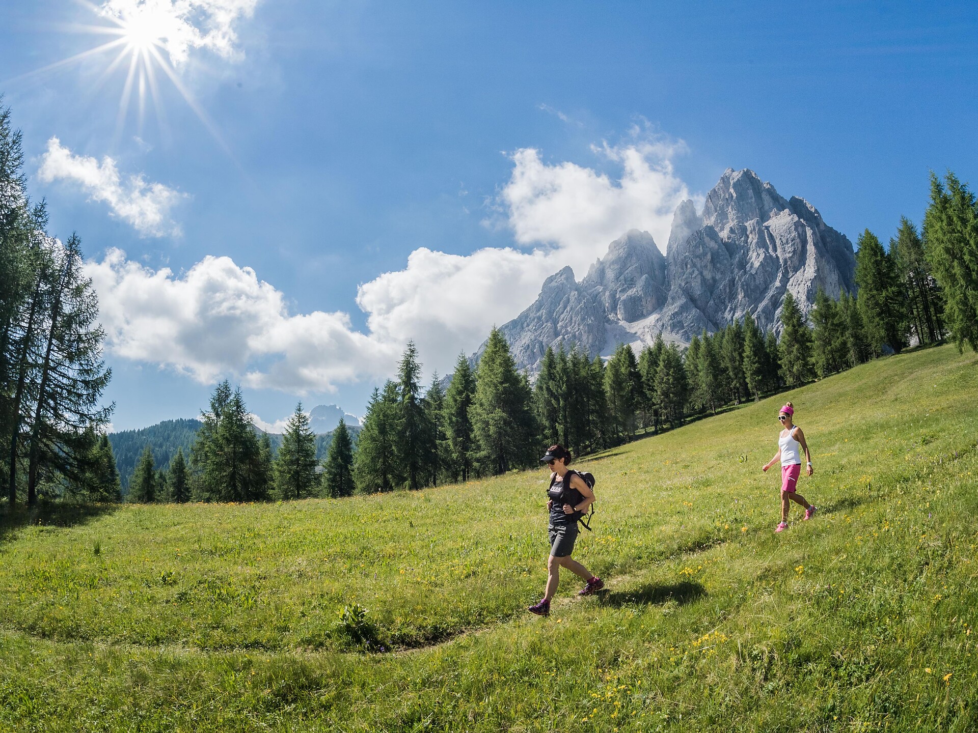 Escursione: Giro per i prati di Monte Casella Sesto 1 suedtirol.info