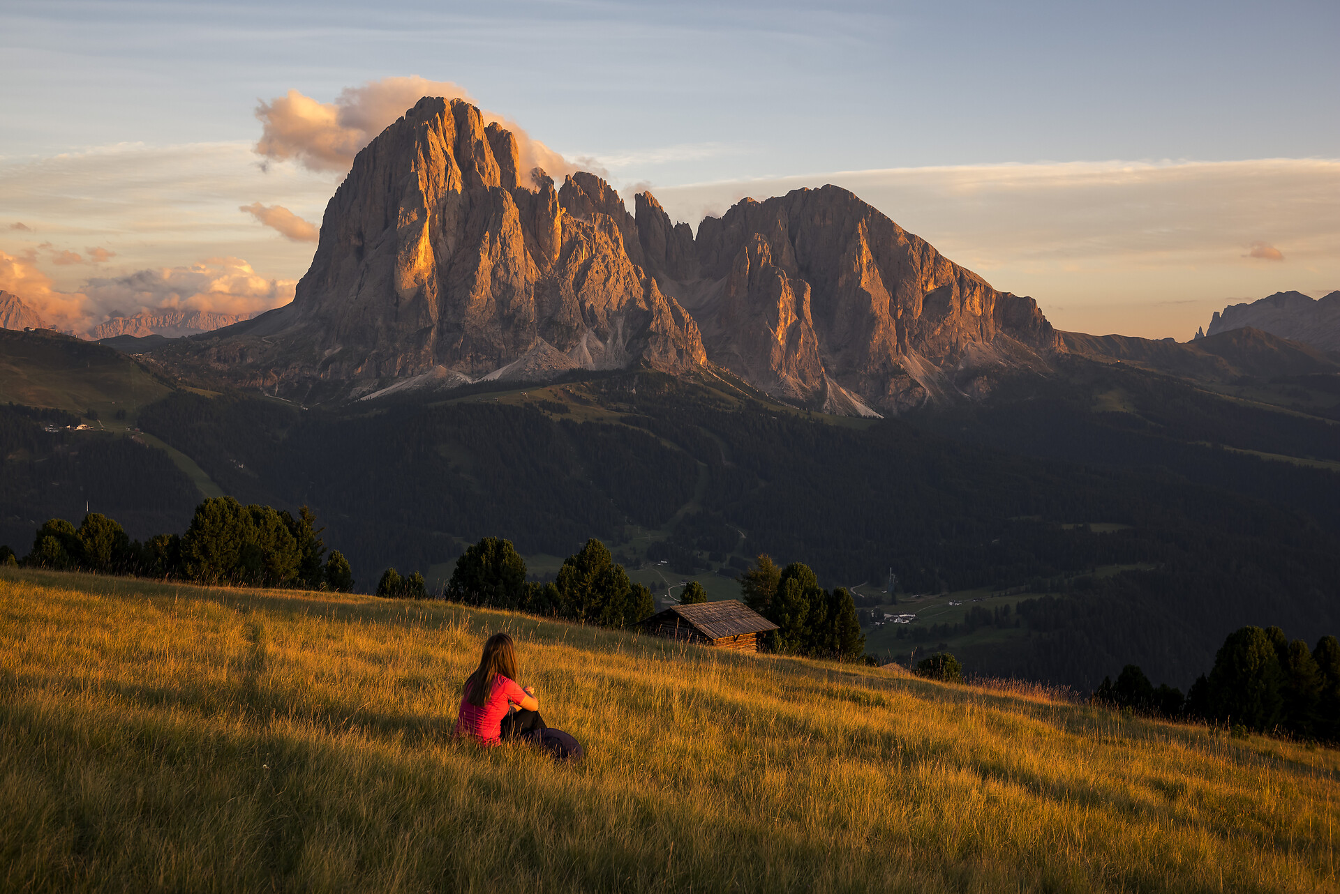 Godetevi la bella vista del Sassolungo e Sassopiatto