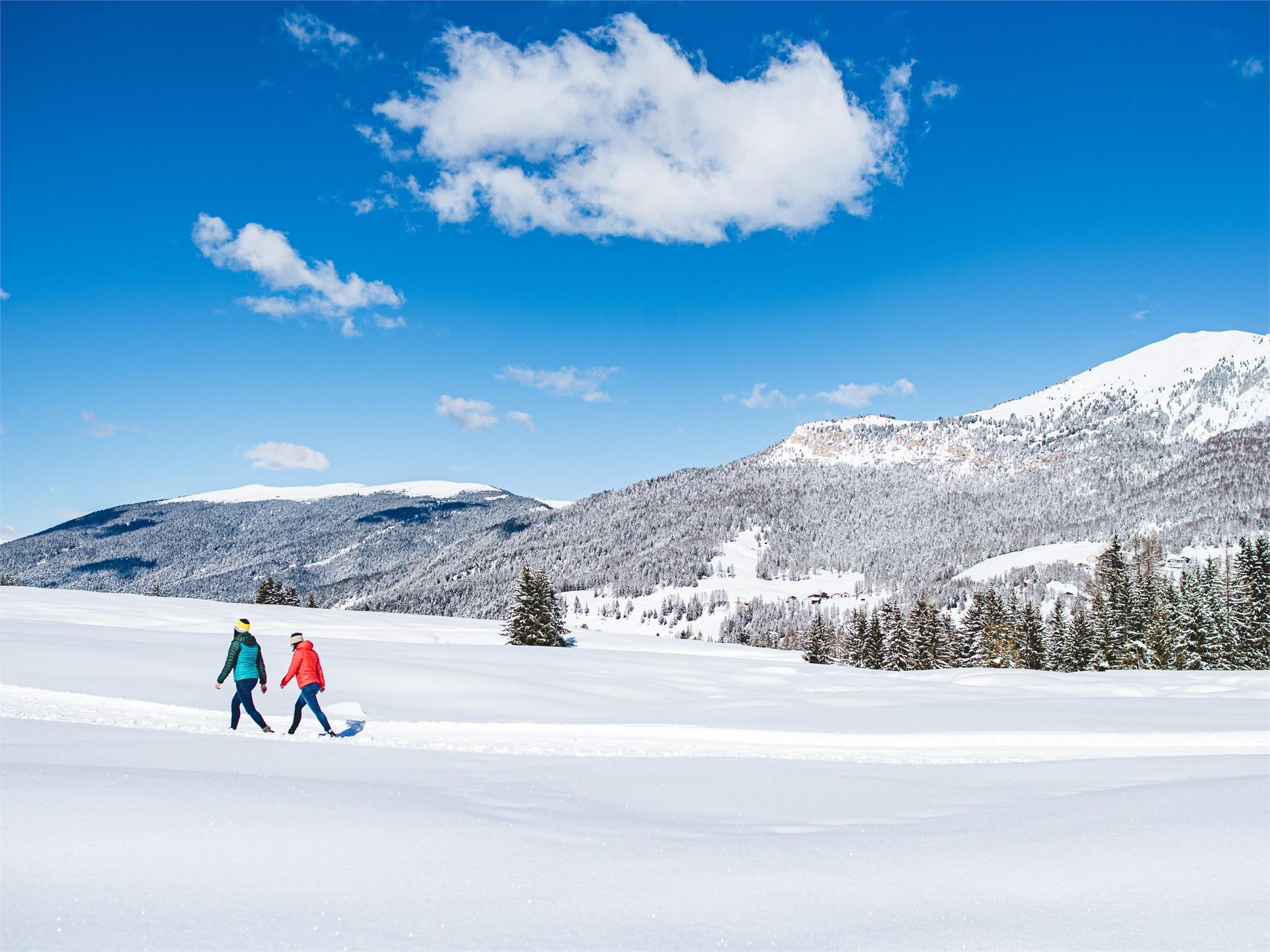 Winterwanderung SunPana St.Christina in Gröden 2 suedtirol.info