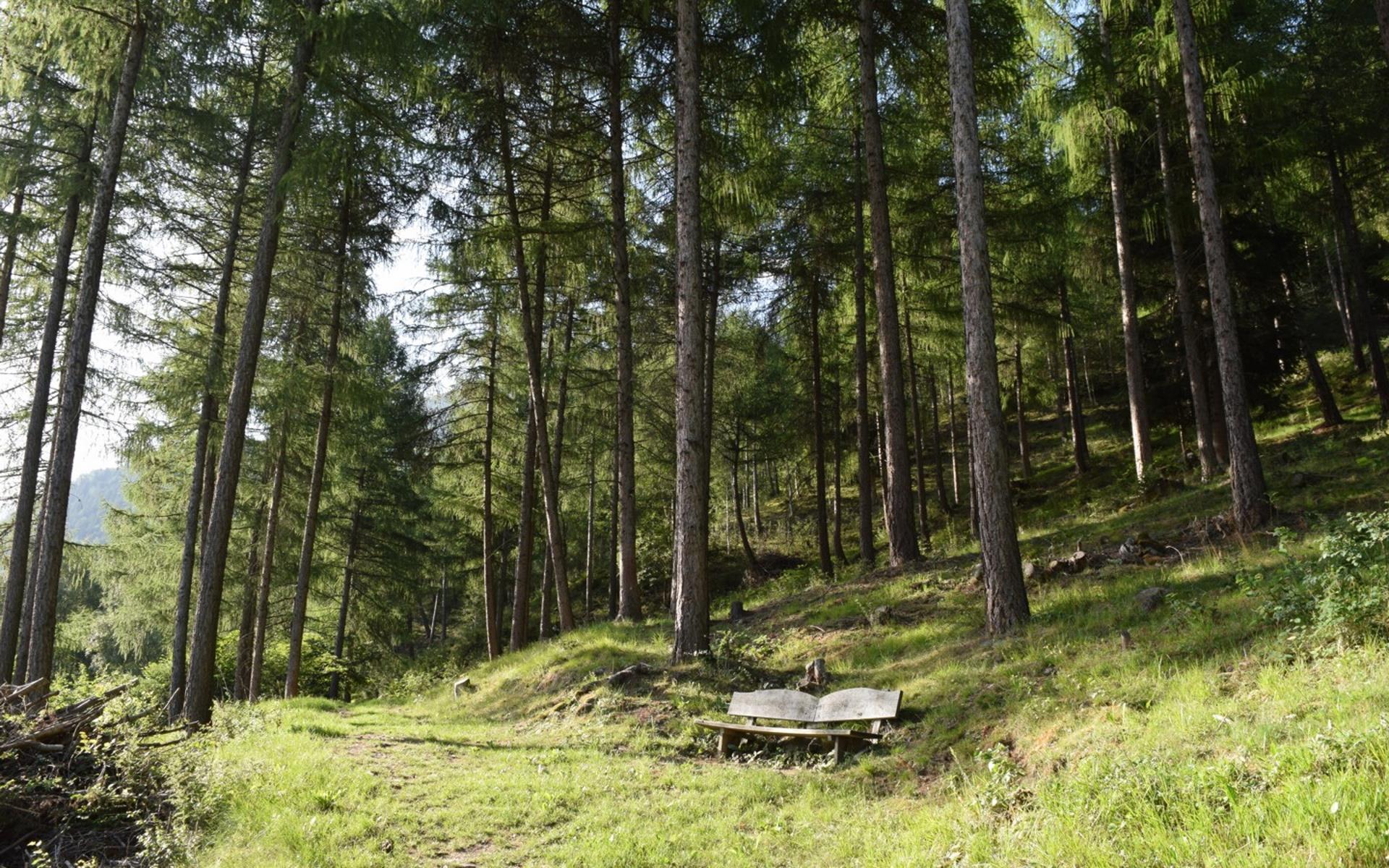 Escursione al Sorgente Sulfurea Lasa 2 suedtirol.info