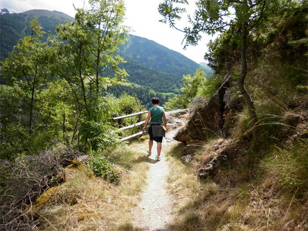 Escursione sul sentiero della roccia montano di Agumes Prato allo Stelvio 1 suedtirol.info