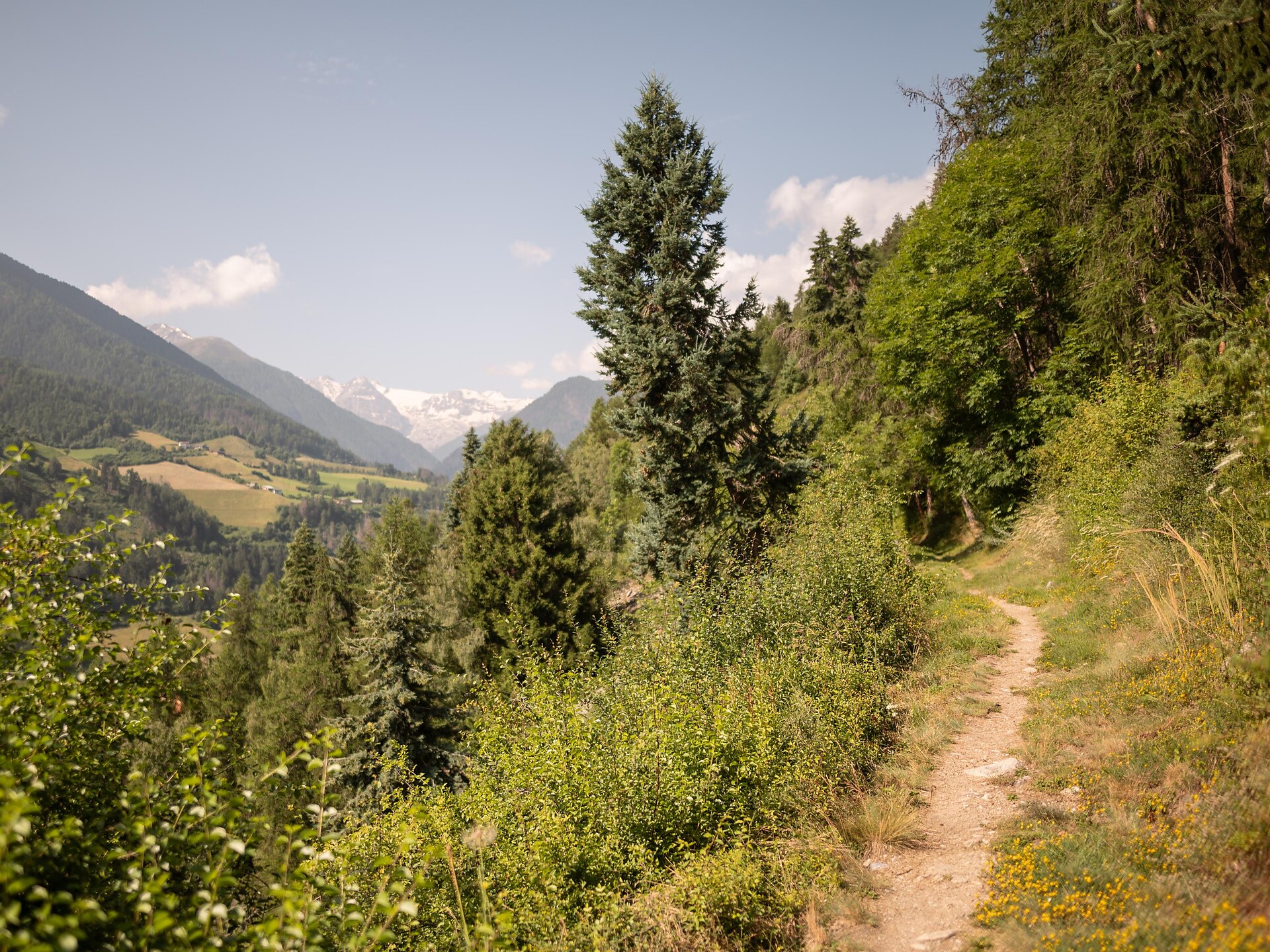 „Agumser Bergwaal“ irrigation channel path Prad am Stilfser Joch/Prato allo Stelvio 1 suedtirol.info