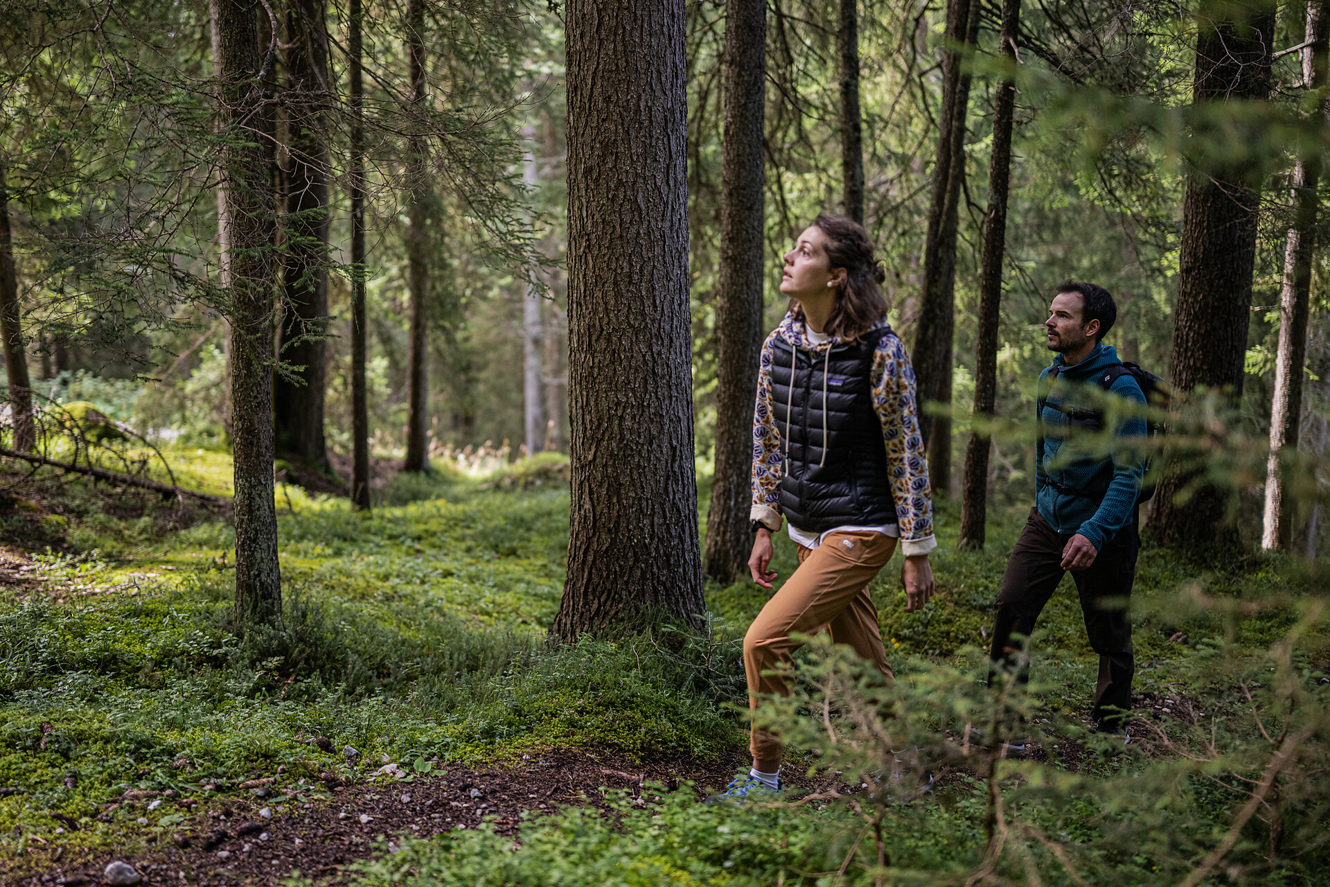 Sentiero tematico: Sentiero della meditazione alla Cappella del bosco  - Regione dolomitica 3 Cime - #1 - suedtirol.info