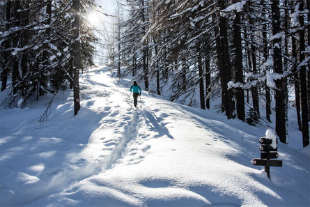 Winter hike on the larch trail in San Cassiano Badia 2 suedtirol.info