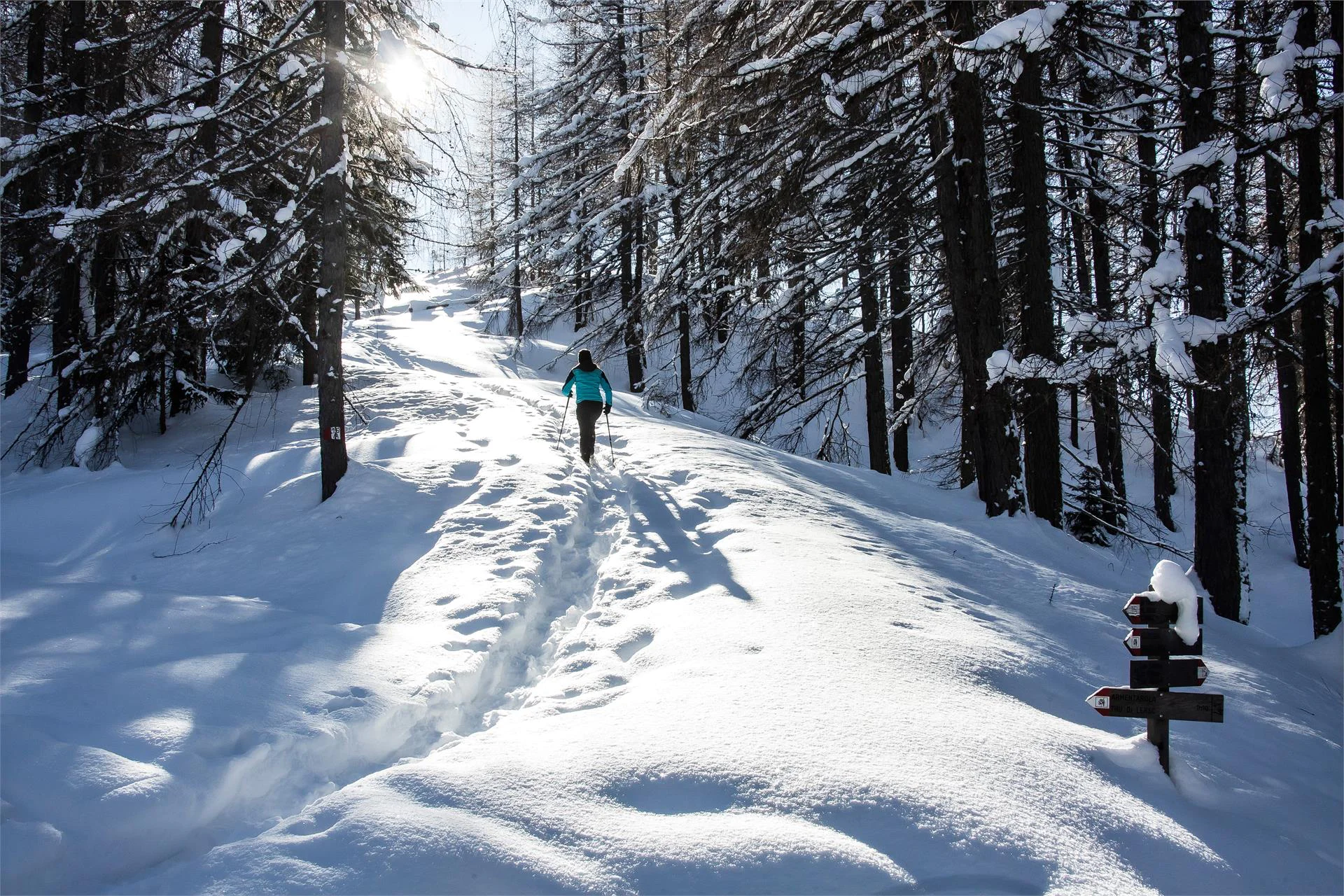 Escursione invernale lungo il sentiero dei larici a San Cassiano Badia 2 suedtirol.info