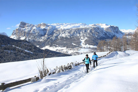 Winter hike on the larch trail in San Cassiano Badia 1 suedtirol.info
