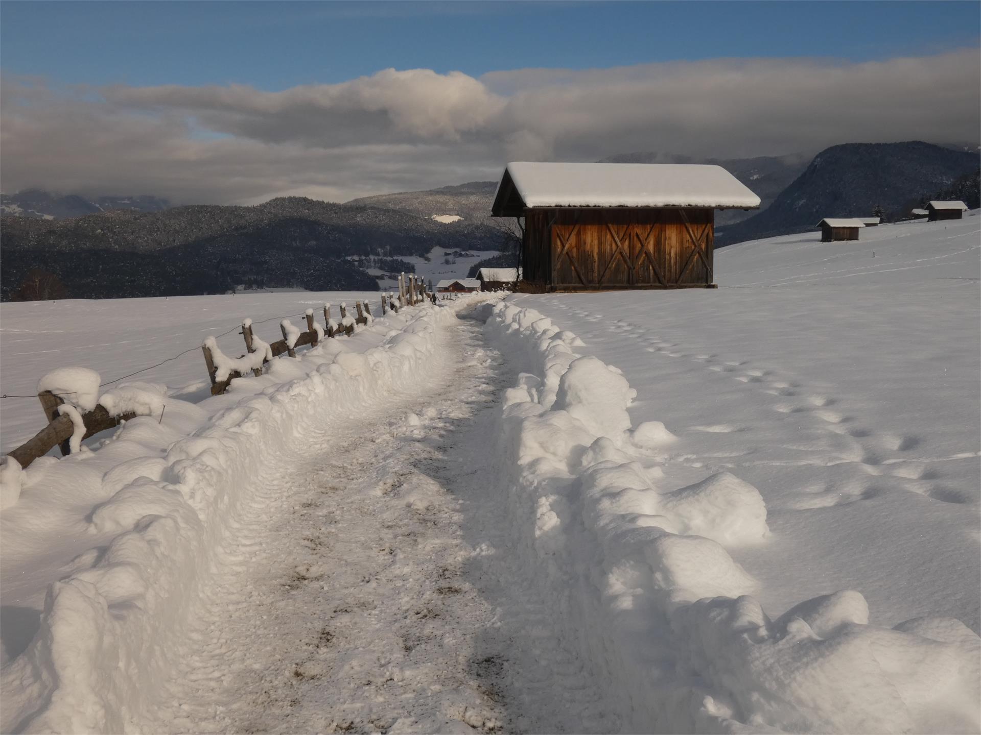 Sentiero invernale: Castelrotto-Wasserebene-Spiazzo Scherer-Castelrotto Castelrotto 3 suedtirol.info