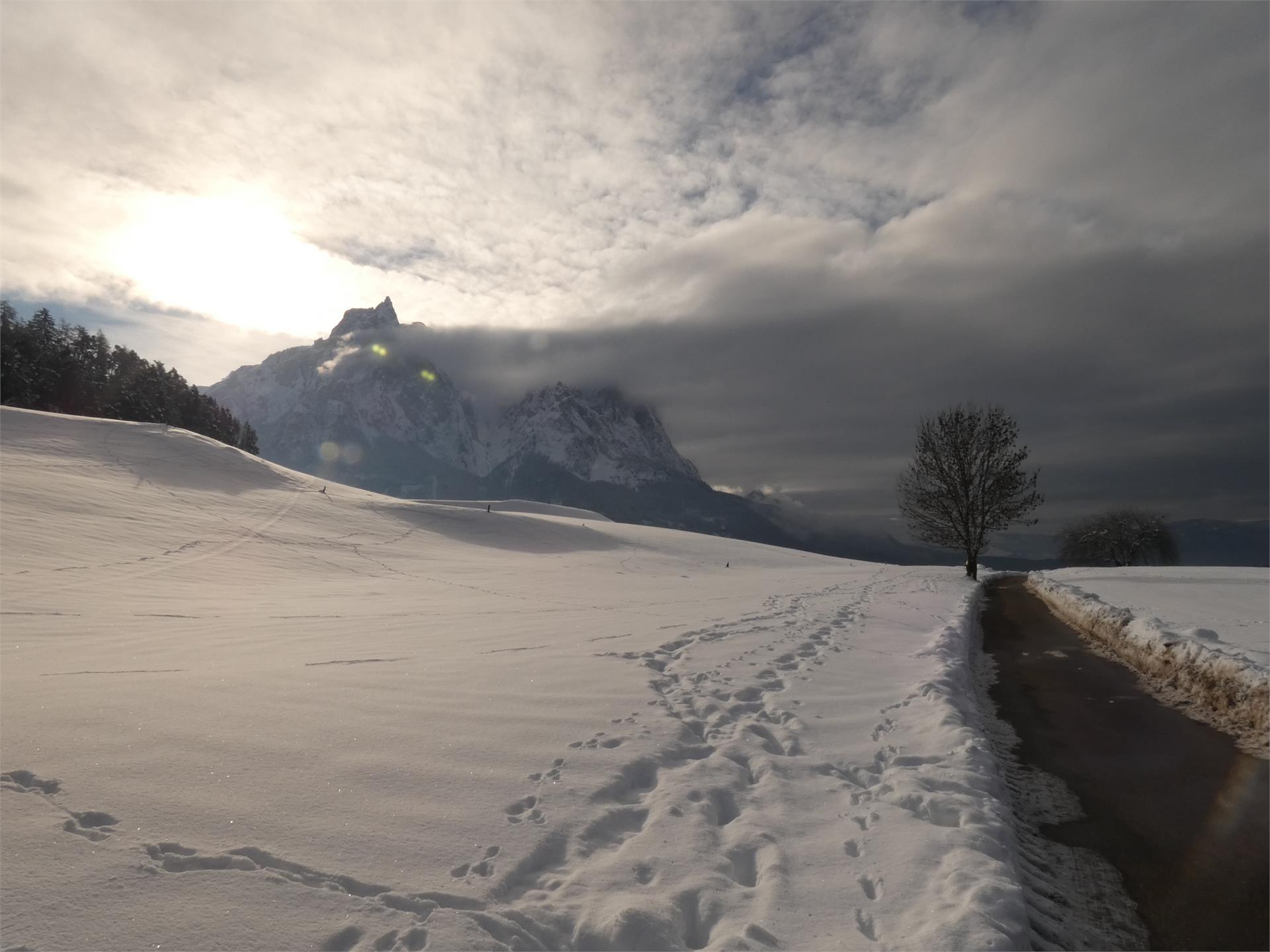 Sentiero invernale: Castelrotto-Wasserebene-Spiazzo Scherer-Castelrotto Castelrotto 2 suedtirol.info