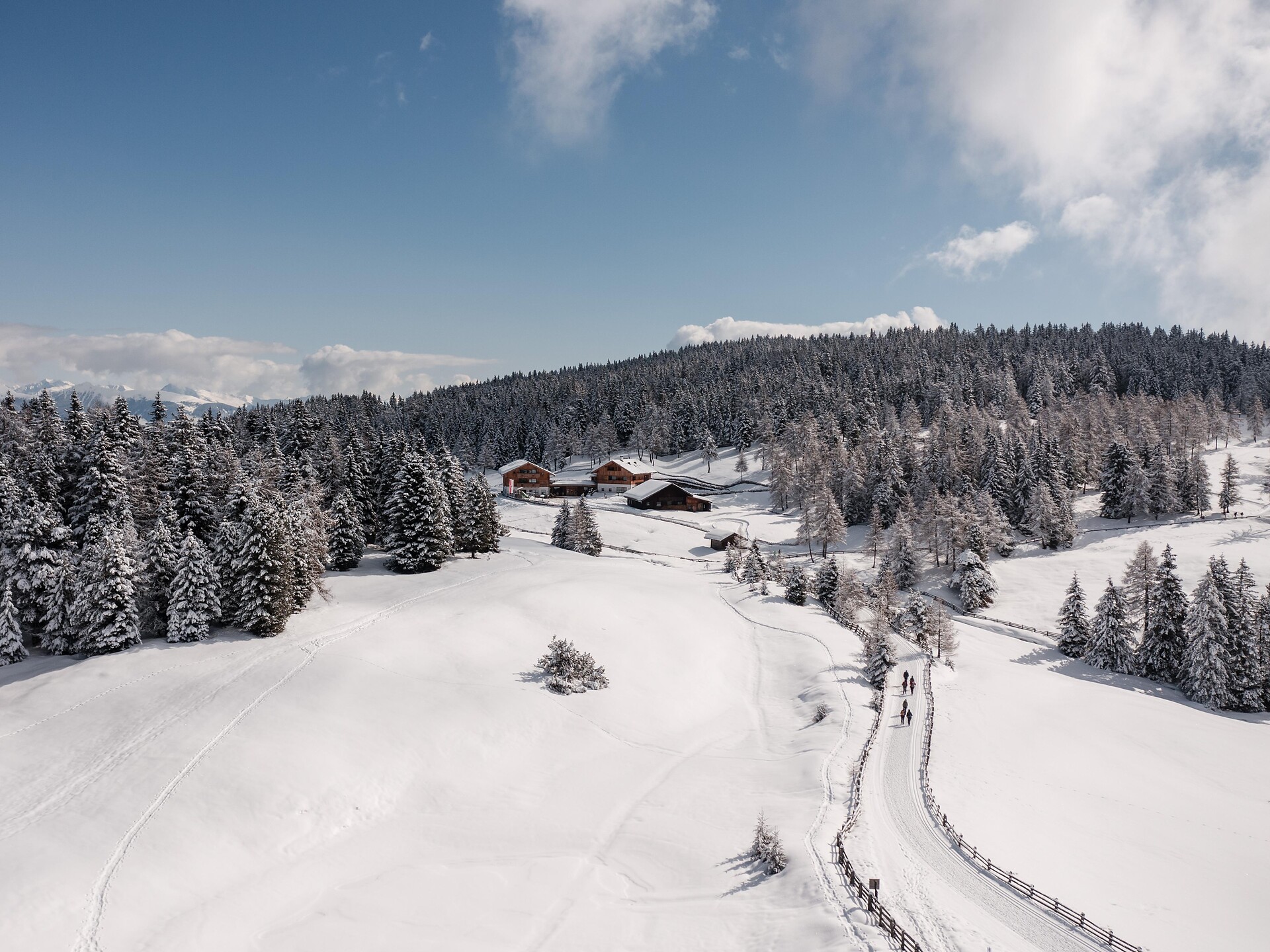 Winter