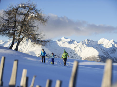 Escursione invernale sull'alpe di Rodengo-Luson  3 suedtirol.info