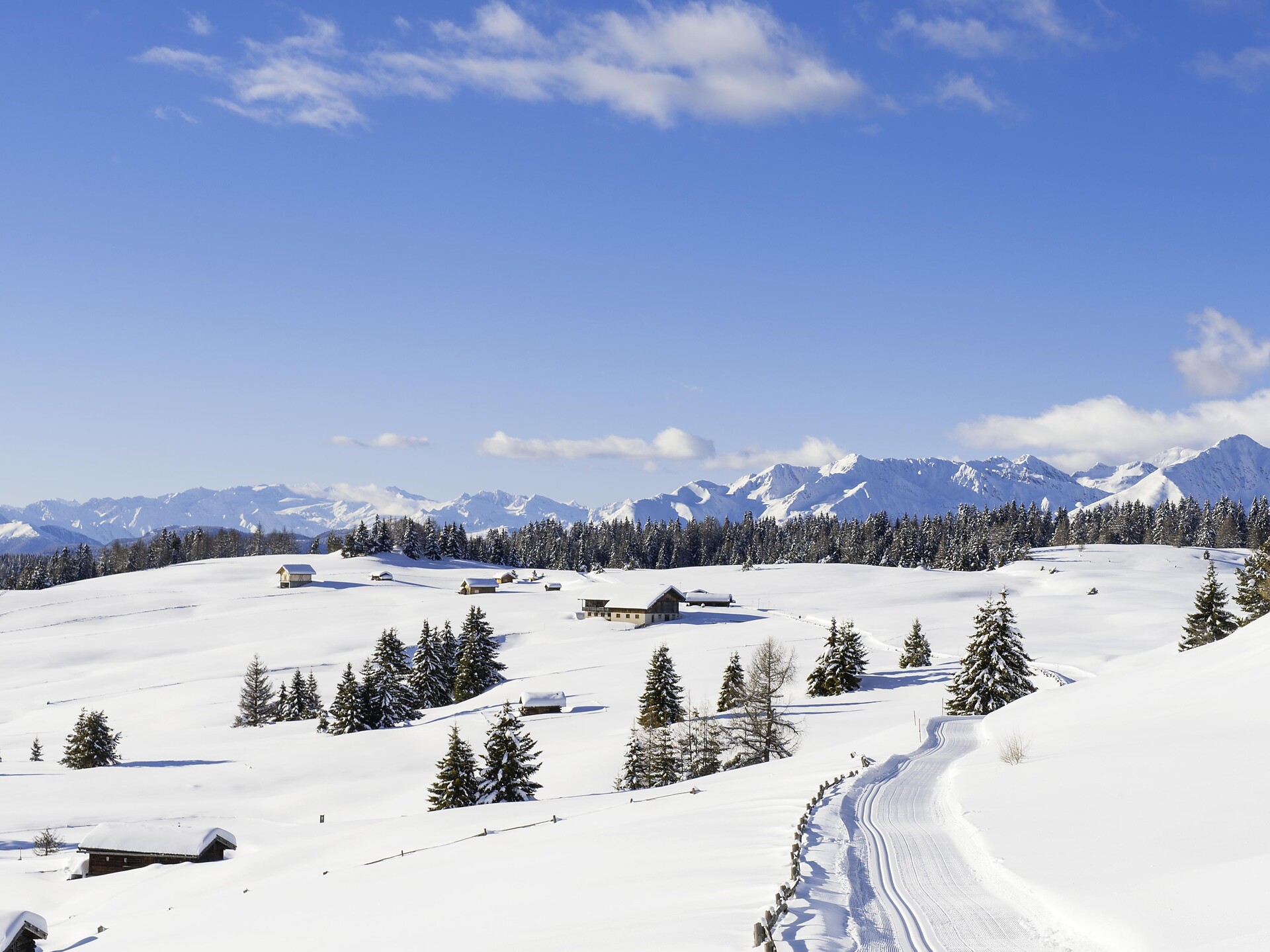 Winter