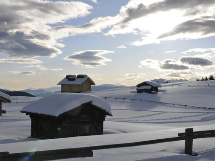 Escursione invernale sull'alpe di Rodengo-Luson  2 suedtirol.info