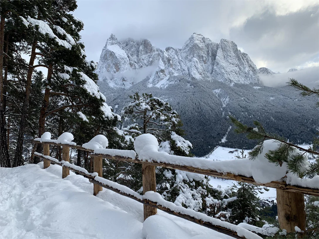 Escursione invernale: Siusi - Giro di Laranza