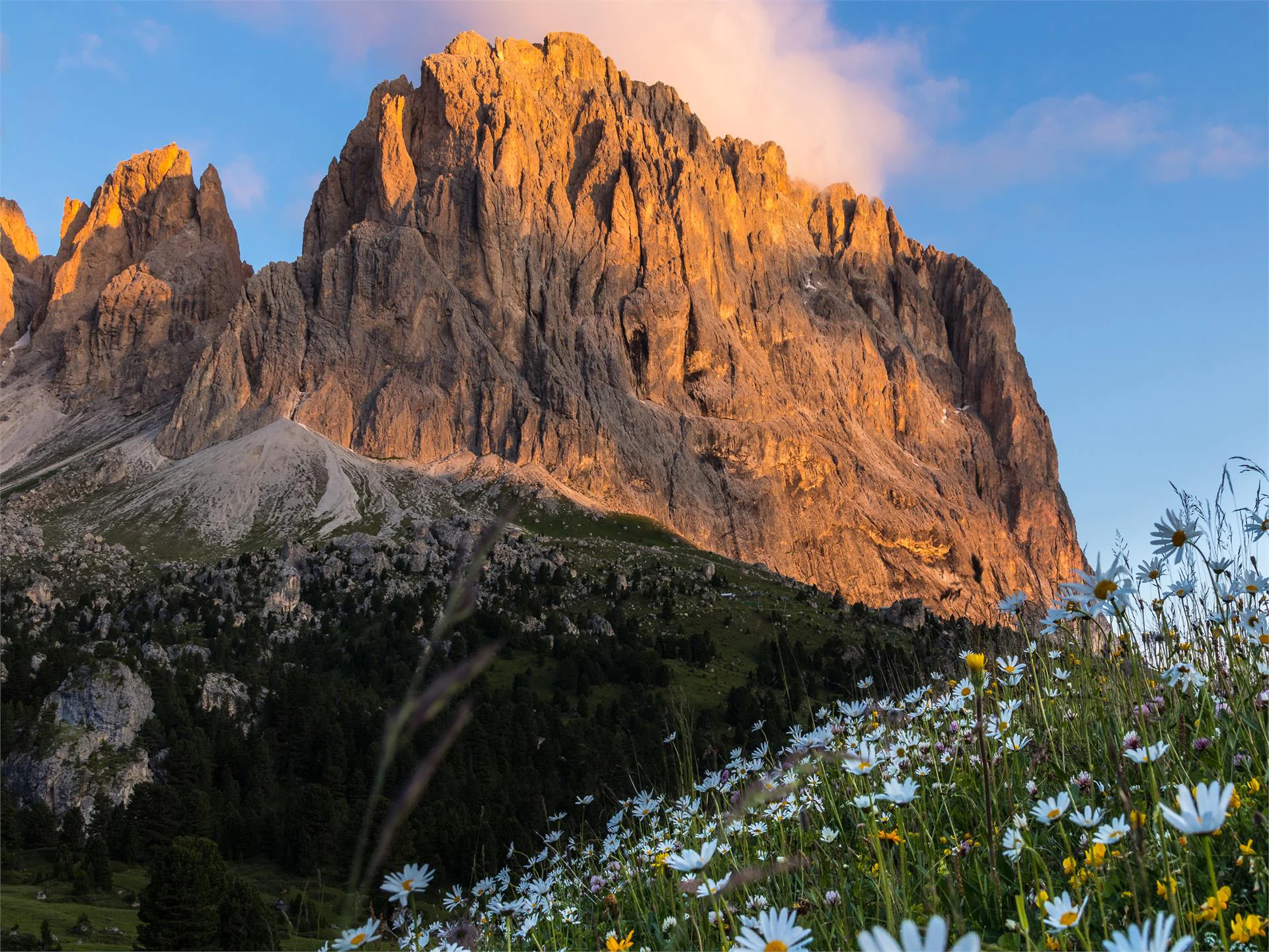 Escursione Ortisei - Passo Sella Selva 1 suedtirol.info