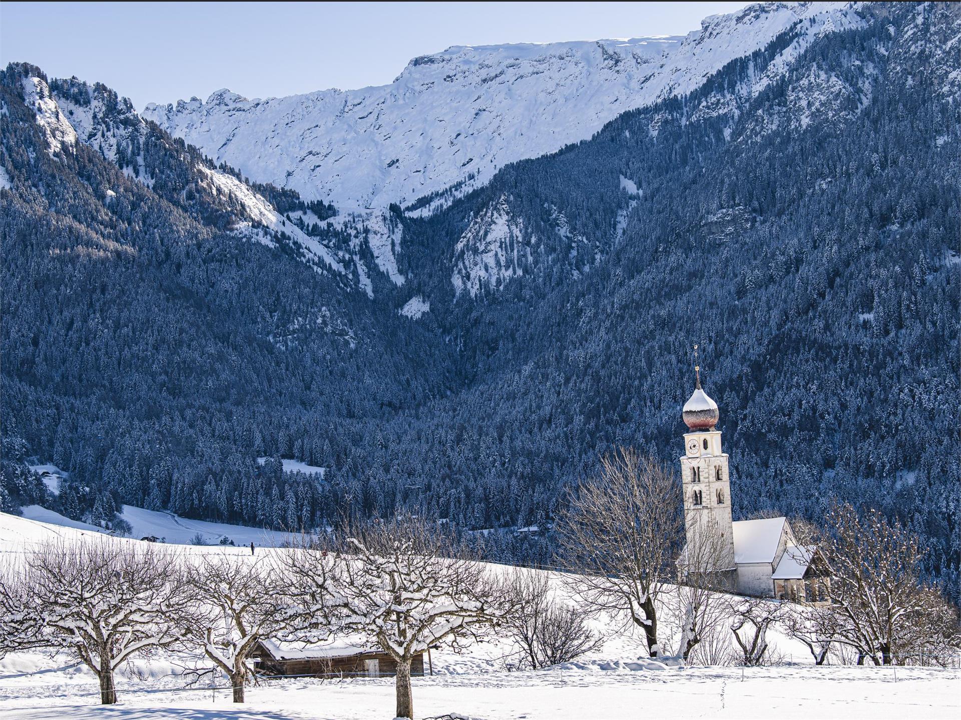 Escursione invernale da Siusi a S. Valentino e a Castelrotto Castelrotto 1 suedtirol.info