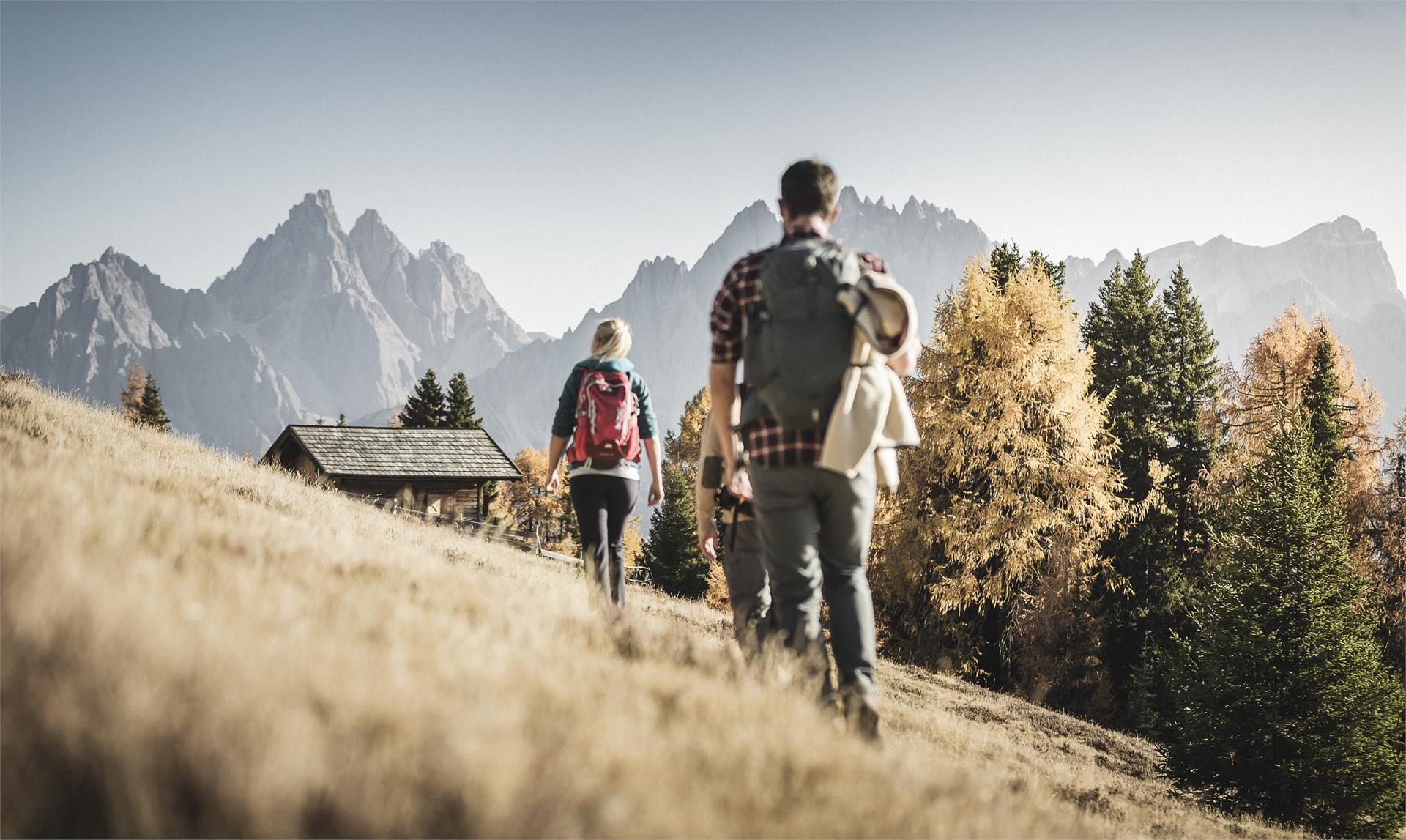 Escursione: Cimitero dei soldati "Burg" - Capella del bosco - Sesto Sesto 2 suedtirol.info