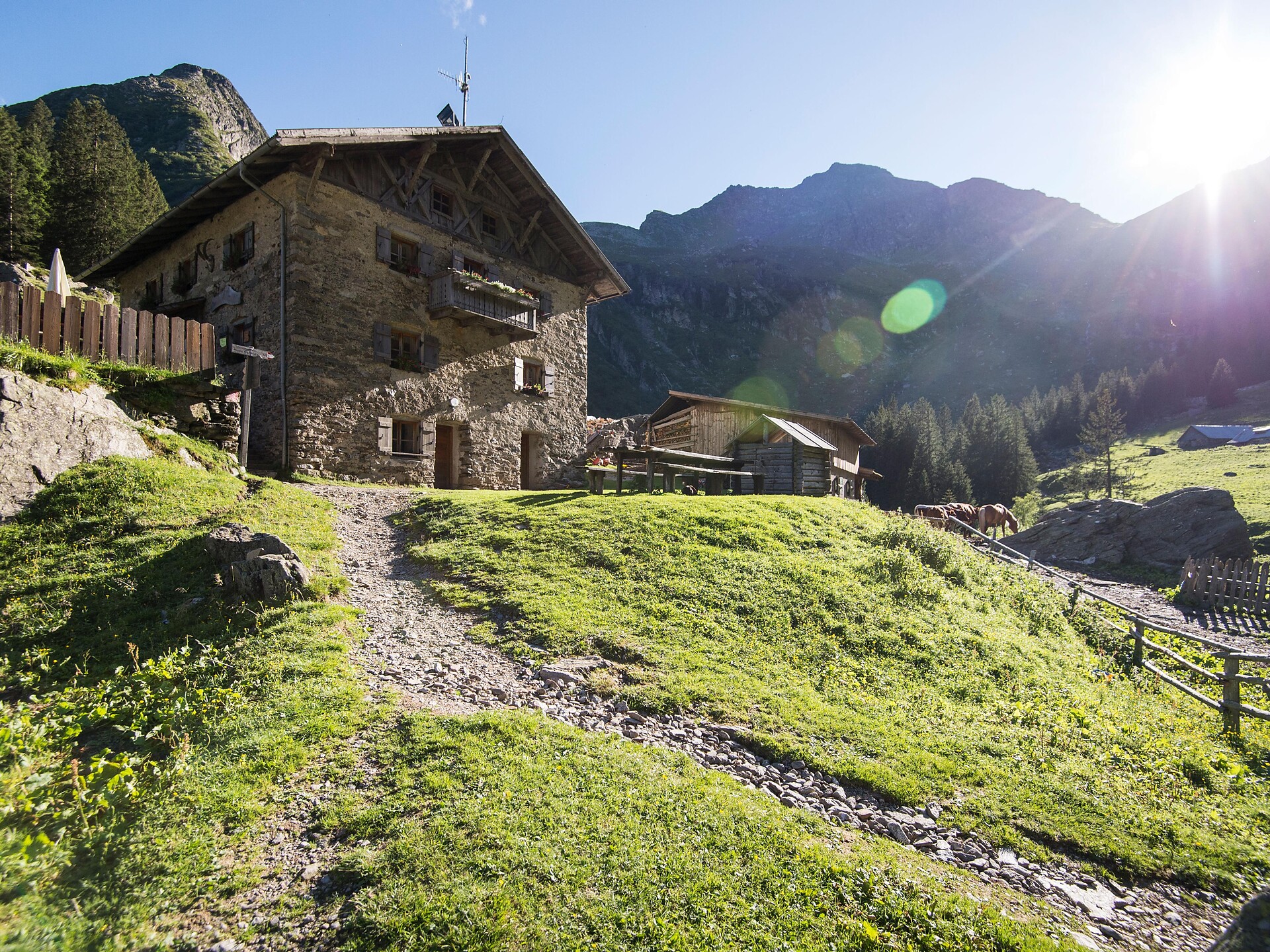 Bockerhütte alpine hut