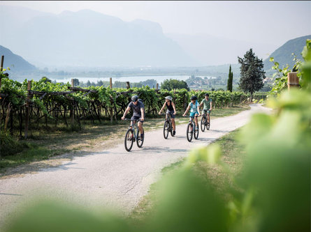 Wine & bike: The Wine Road Bolzano/Bozen 1 suedtirol.info