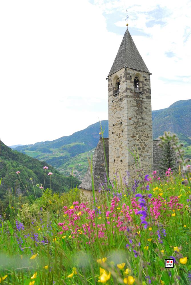 Sentiero circolare Walther von der Vogelweide Laion 2 suedtirol.info