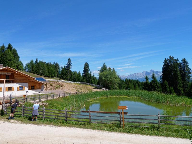 escursione Pietralba –Malga Capanna Nuova – Malga Ora  2 suedtirol.info
