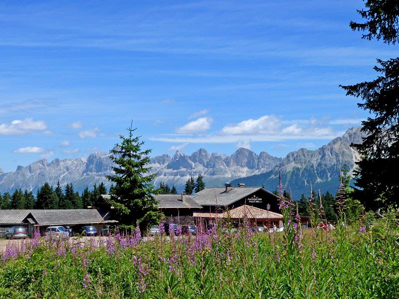 escursione Pietralba –Malga Capanna Nuova – Malga Ora  1 suedtirol.info