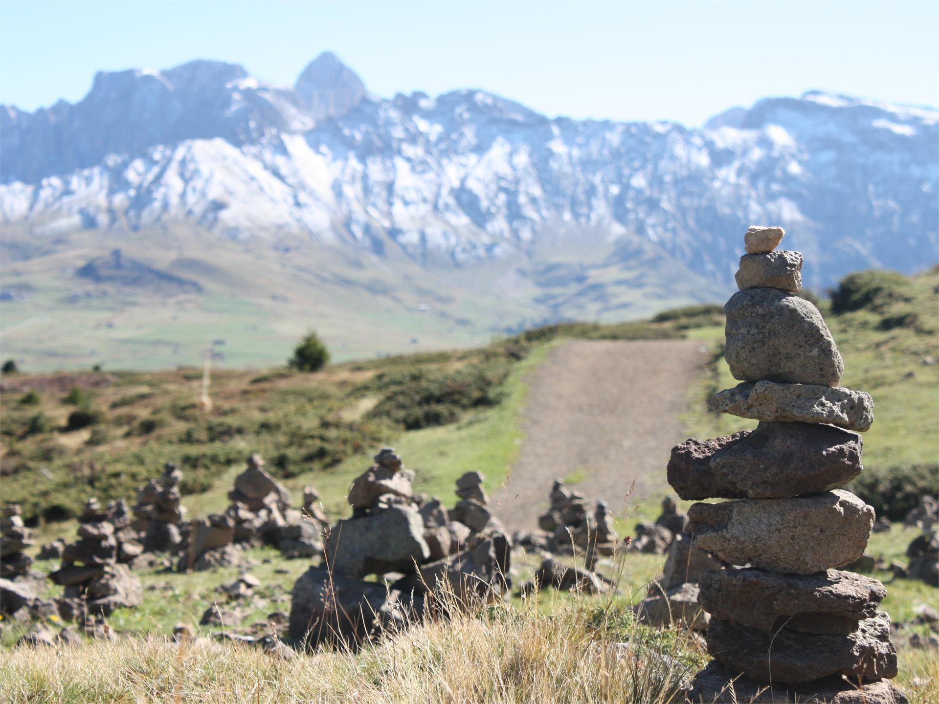 Wanderung auf dem Puflatsch/Seiser Alm Kastelruth 2 suedtirol.info