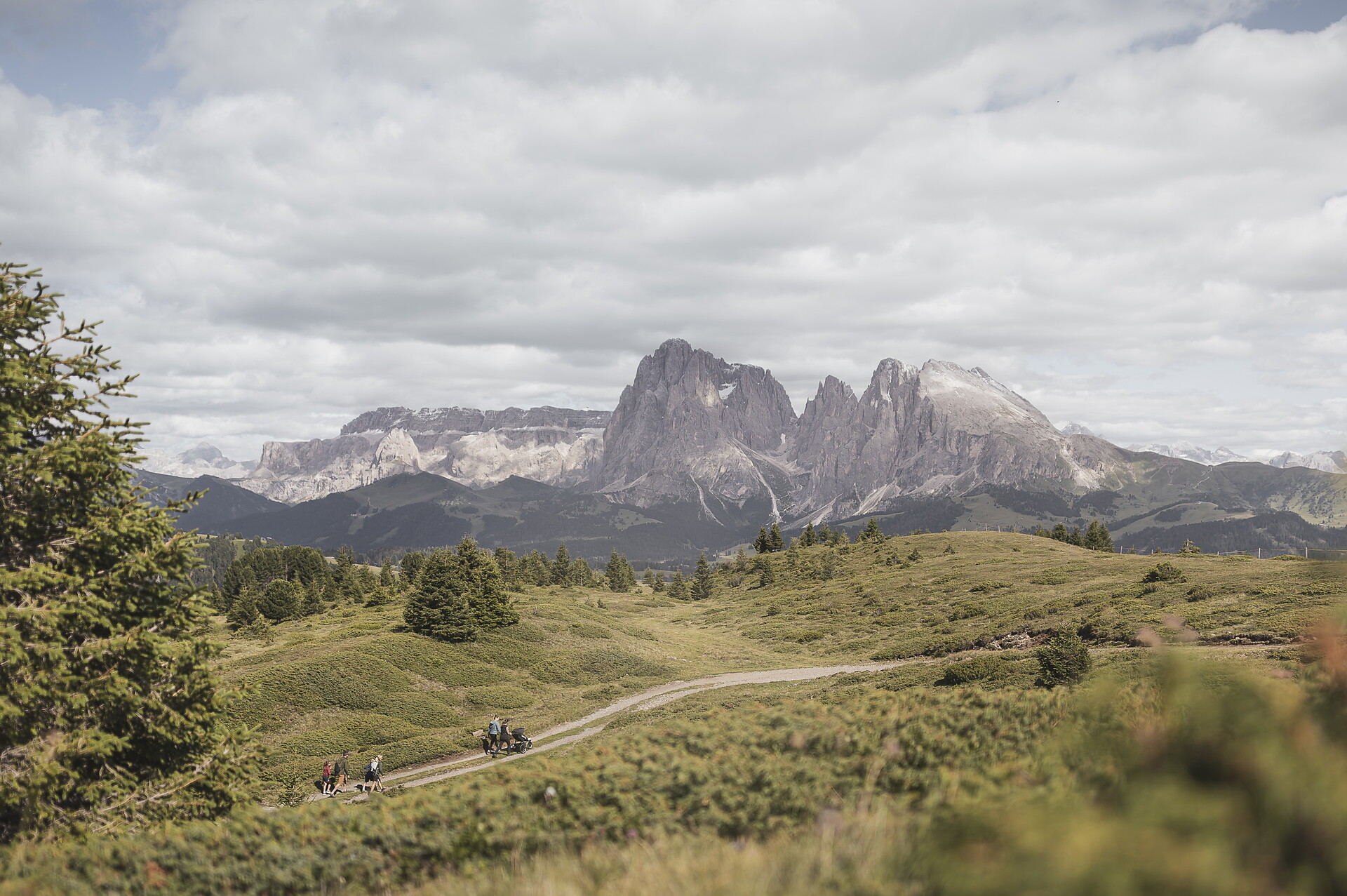 Escursione sulla Bullaccia/Alpe di Siusi - Regione dolomitica Alpe di Siusi - #6 - suedtirol.info