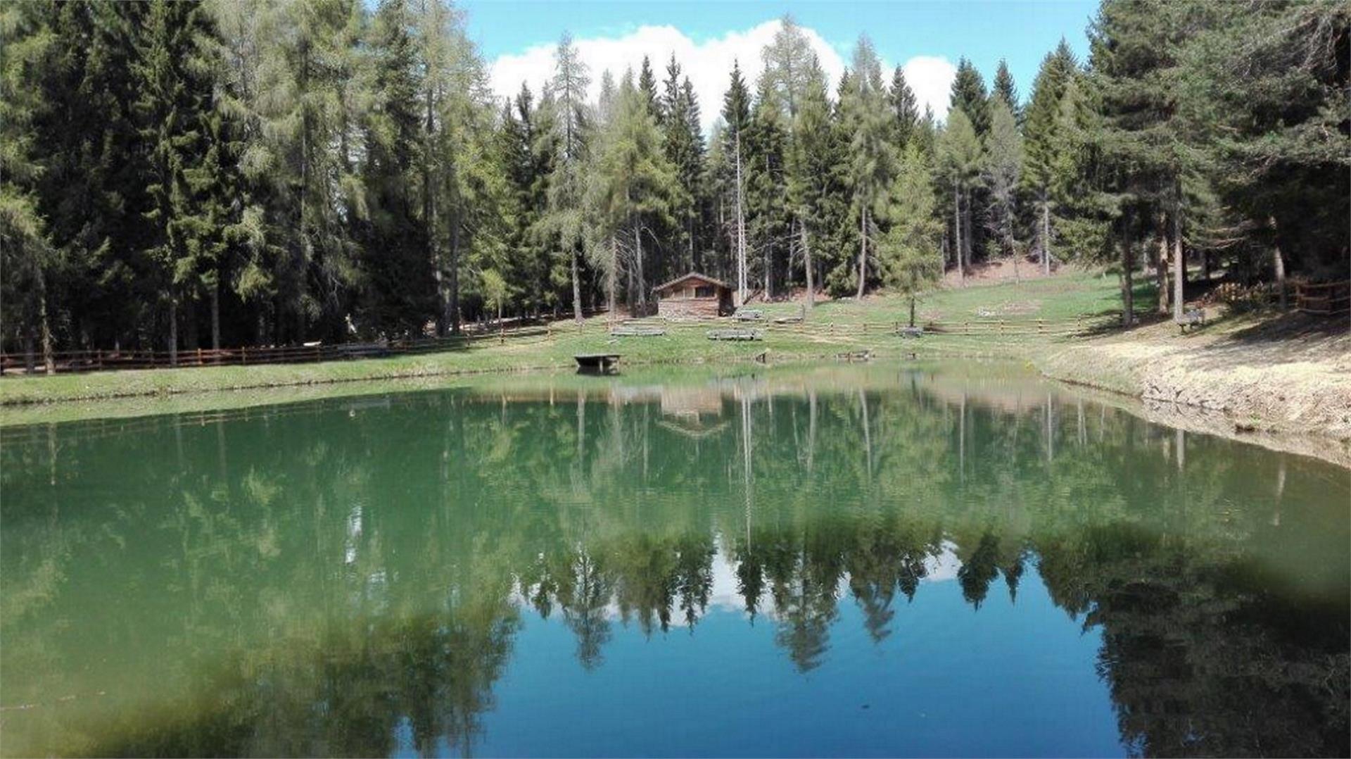 Hiking from Lajen/Laion to the pond "Punholz" Lajen/Laion 3 suedtirol.info