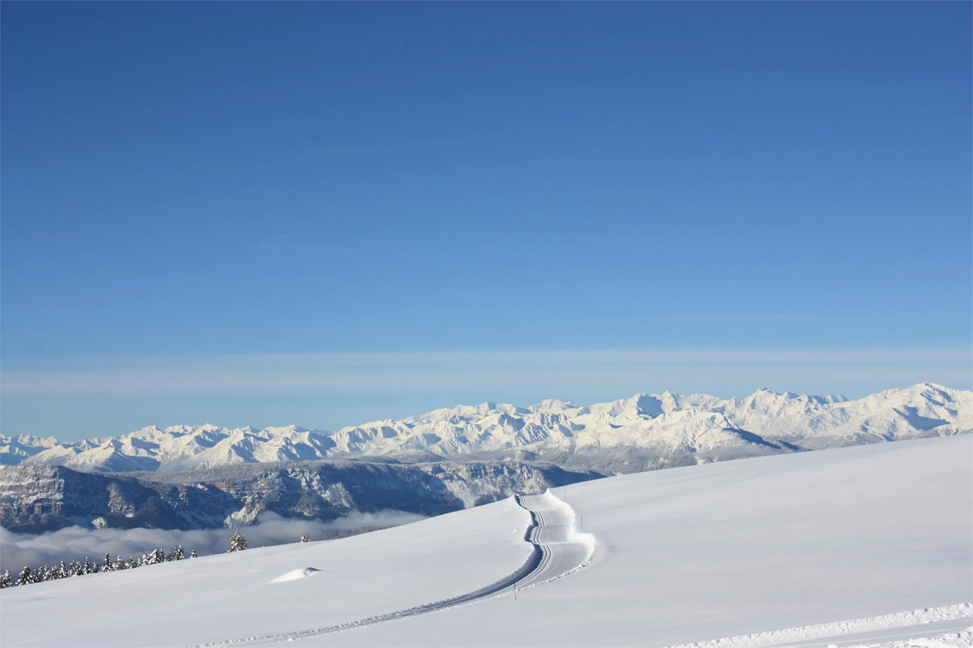 Premium Panorama Tour on the Rittner Horn Mountain Ritten/Renon 1 suedtirol.info
