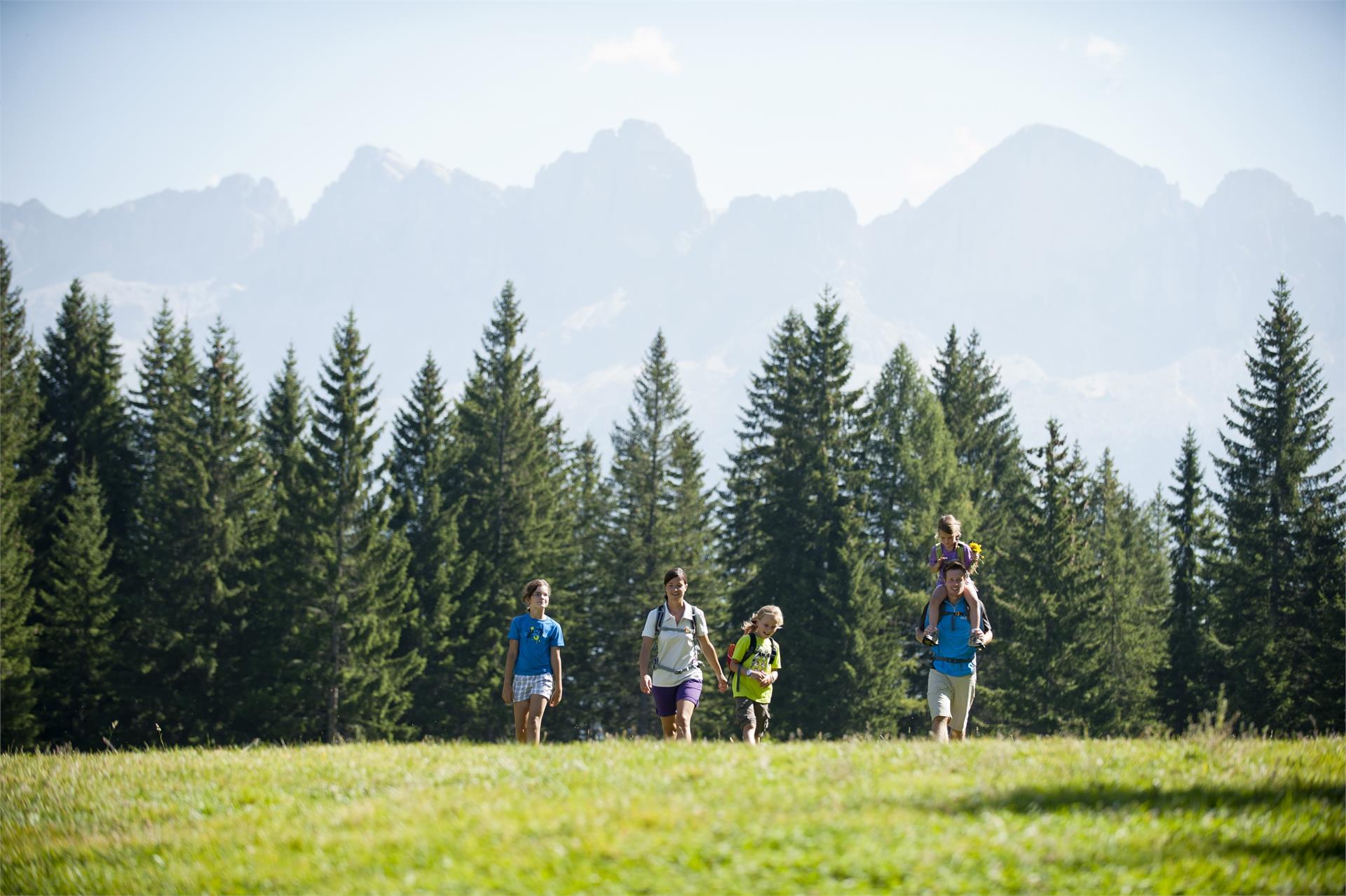 escursione da Obereggen a Lavazè  1 suedtirol.info