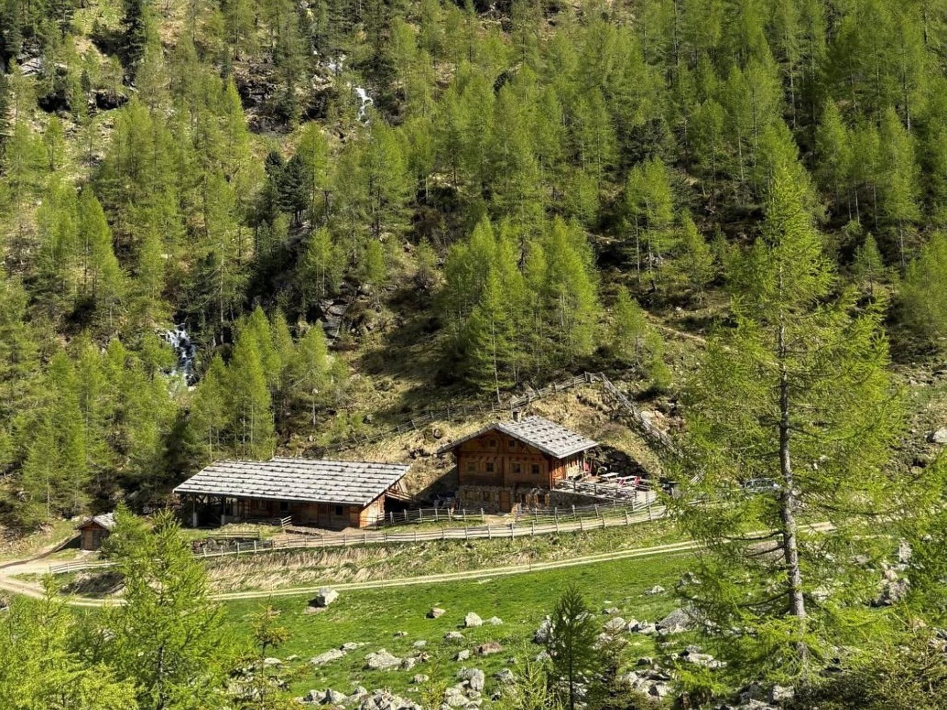 Hike to the "Kirchberg Alm" - Meran/Merano and environs - #1 - suedtirol.info