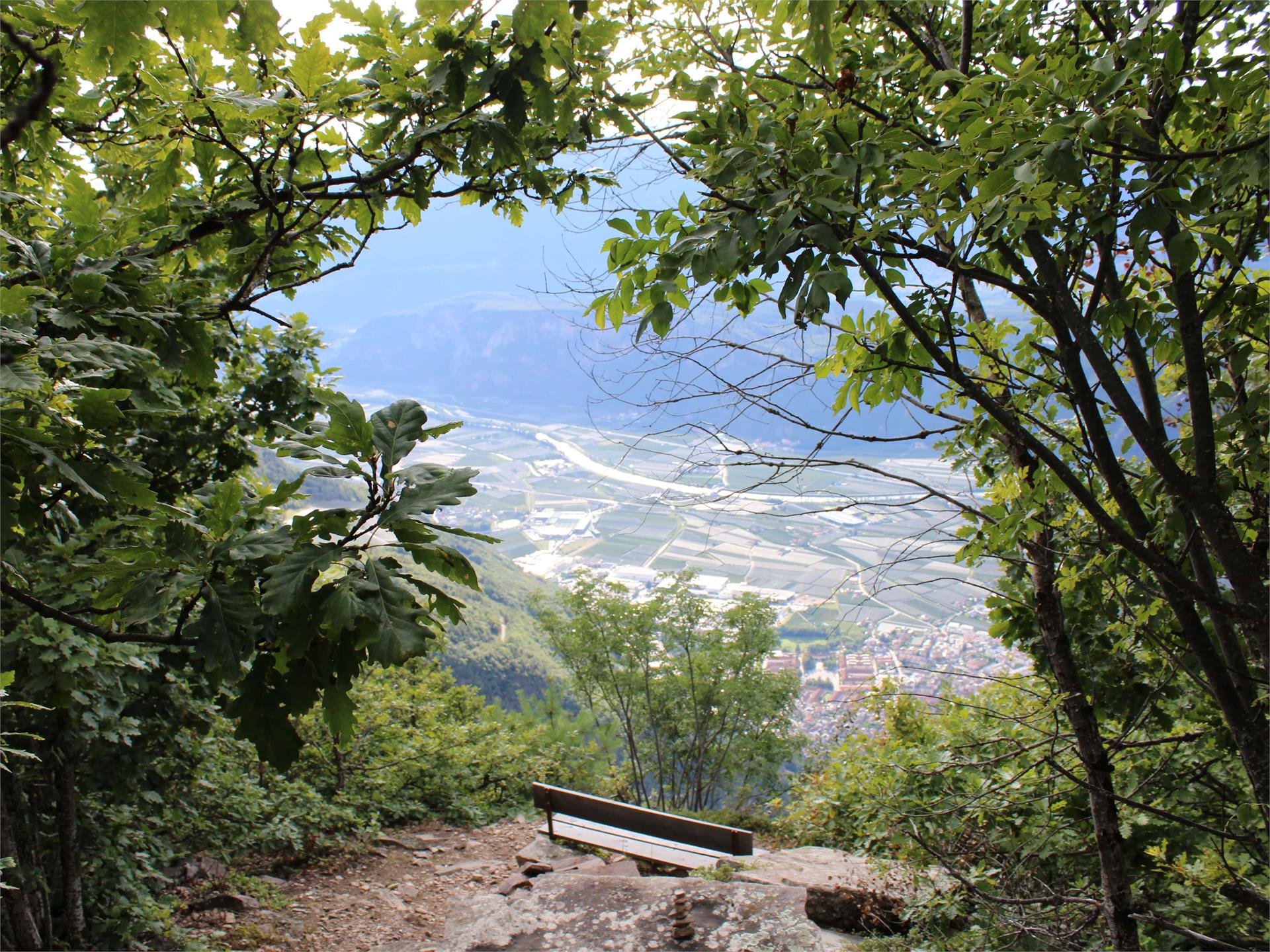 Excursion to the Stone Age settlement of Enzbirch Deutschnofen/Nova Ponente 2 suedtirol.info