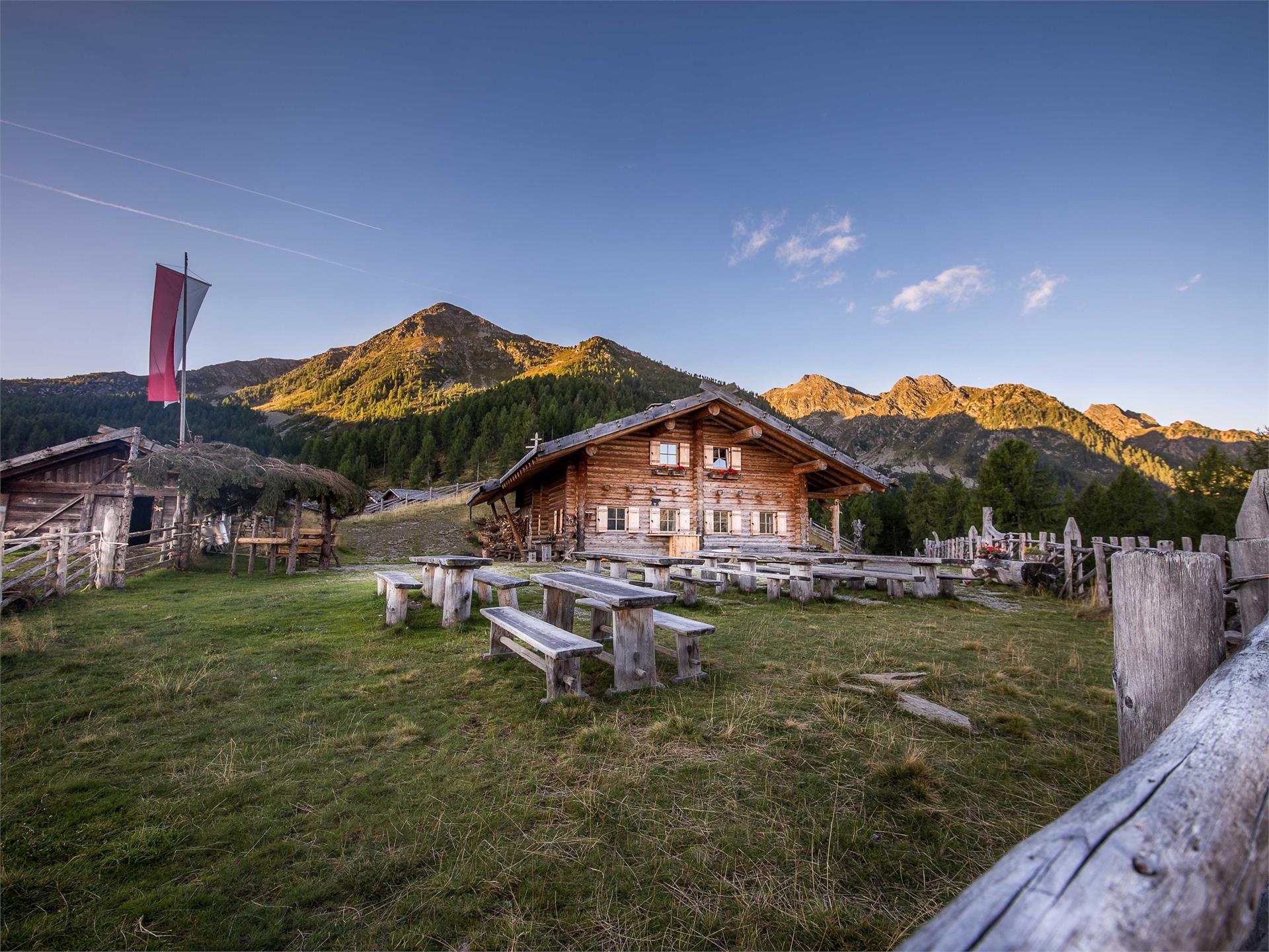Wanderung zur Spitzner Alm Ulten 1 suedtirol.info