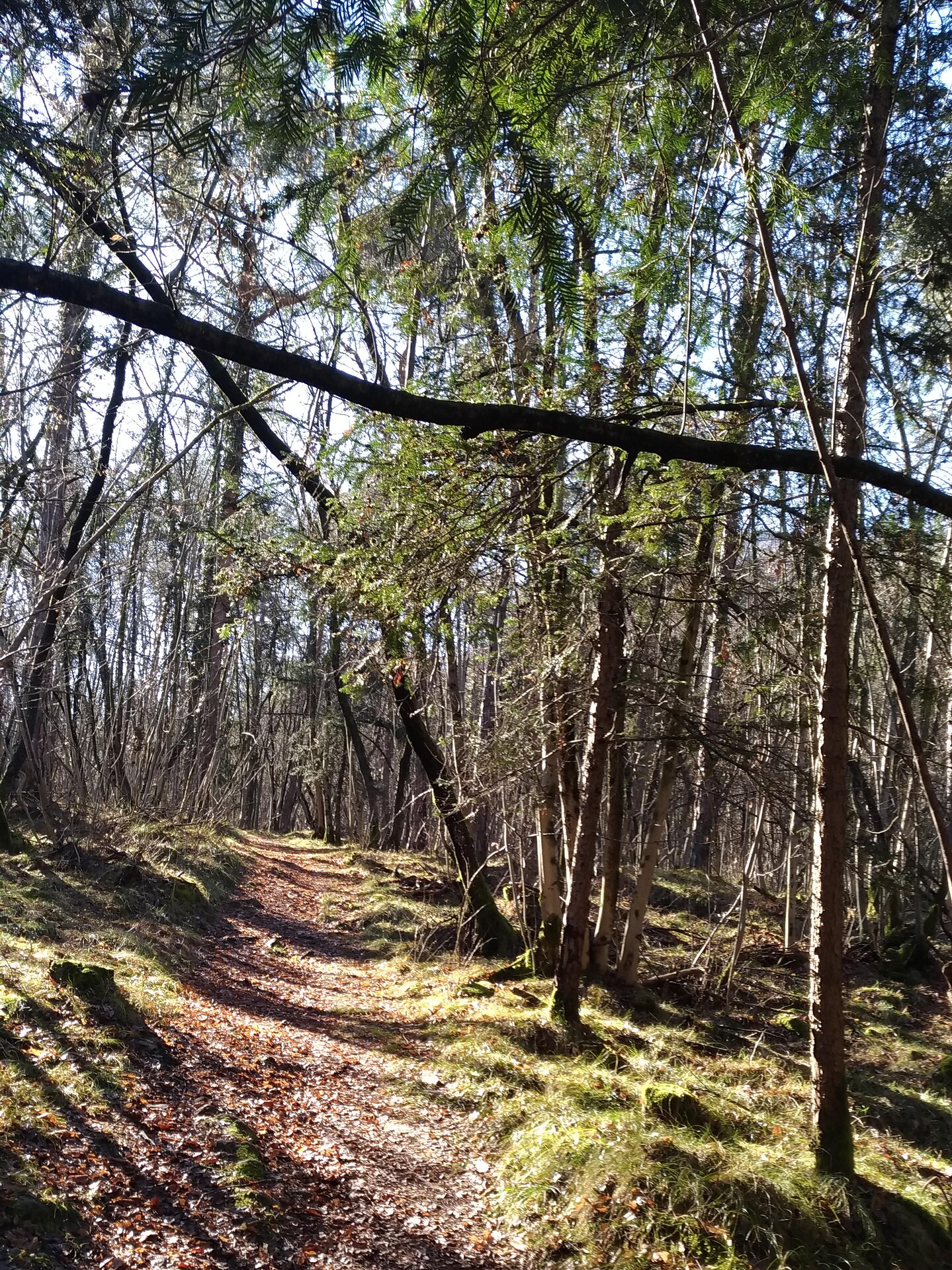 Path no 2