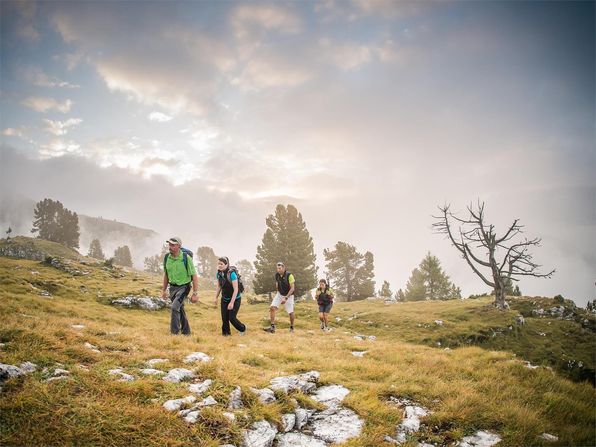 Wanderung zur Stevia Alm Wolkenstein 4 suedtirol.info