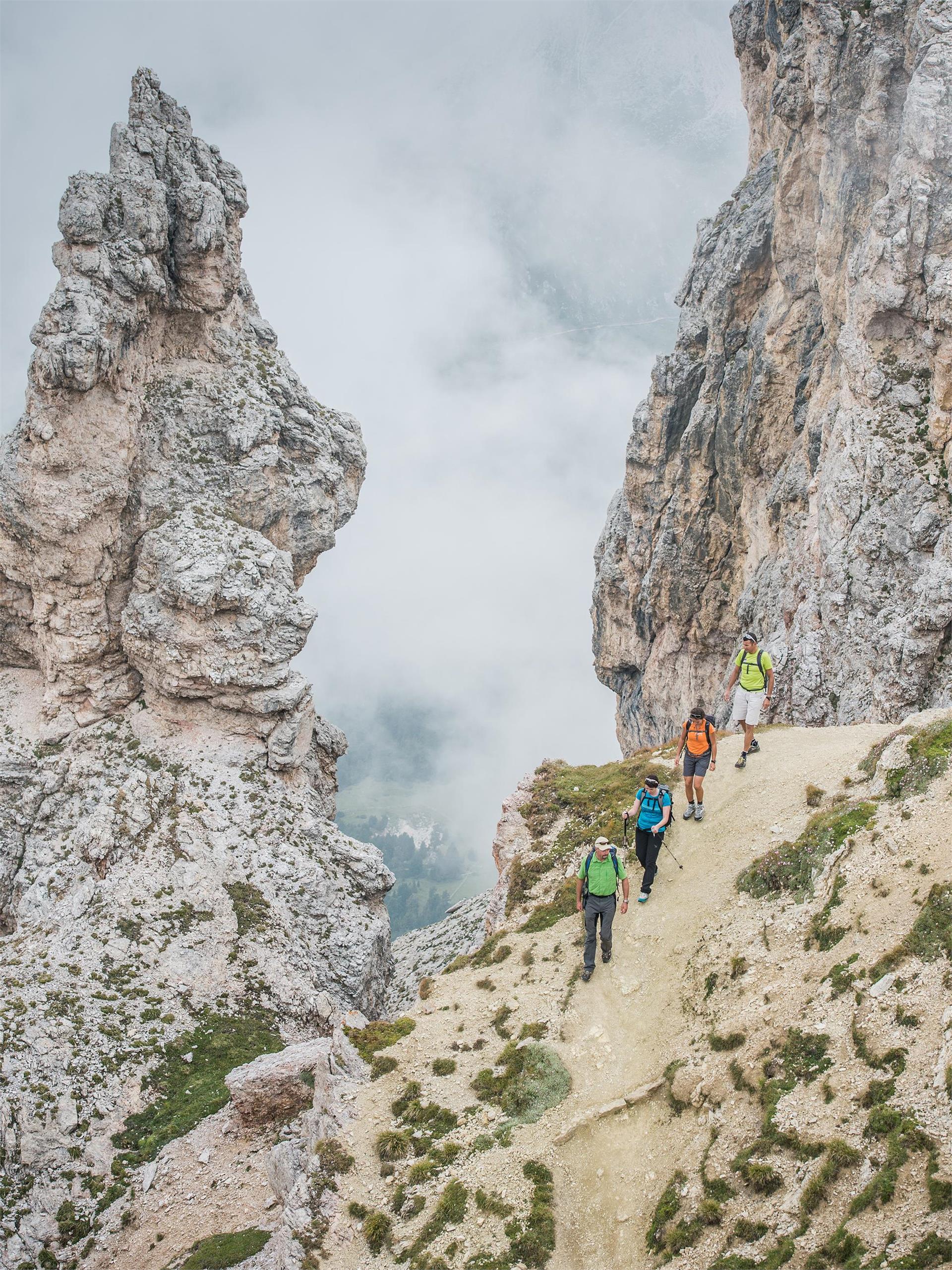 Wanderung zur Stevia Alm Wolkenstein 5 suedtirol.info