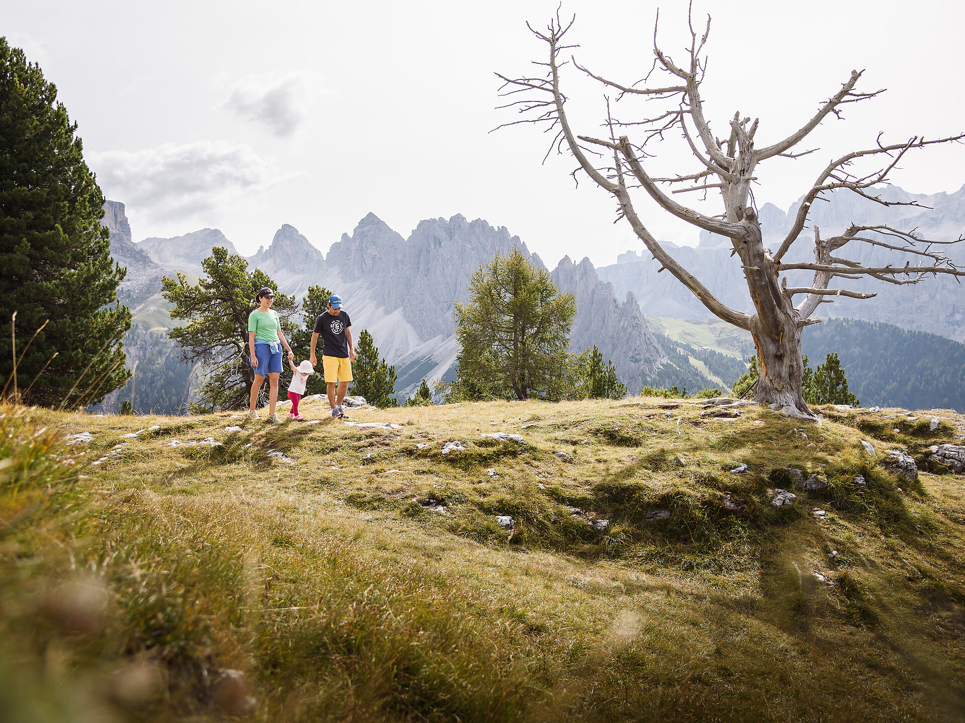 Wanderung zur Stevia Alm - Dolomitenregion Gröden - #9 - suedtirol.info