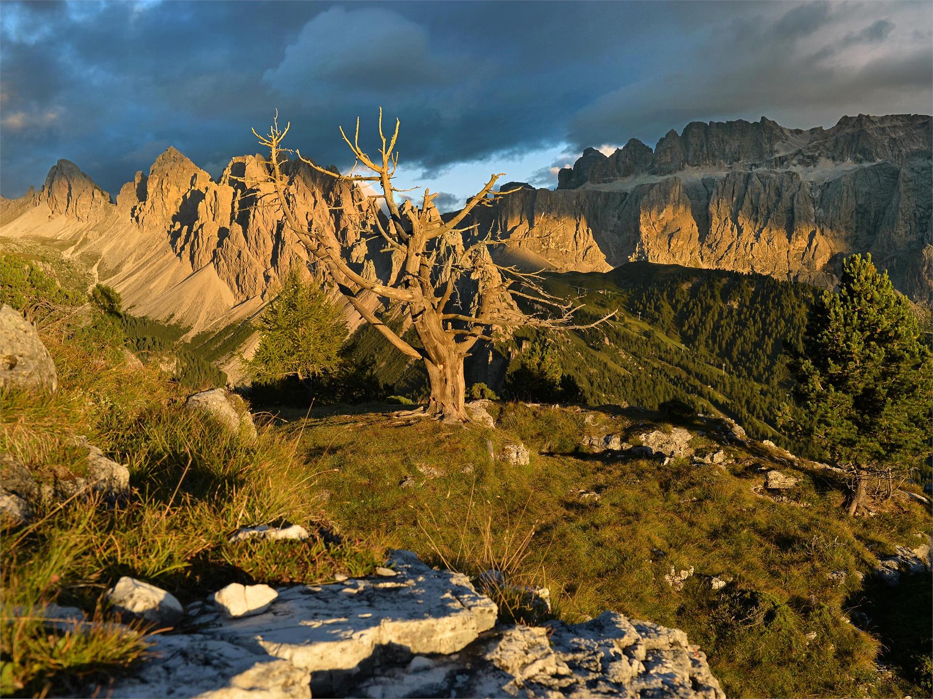 Wanderung zur Stevia Alm Wolkenstein 6 suedtirol.info