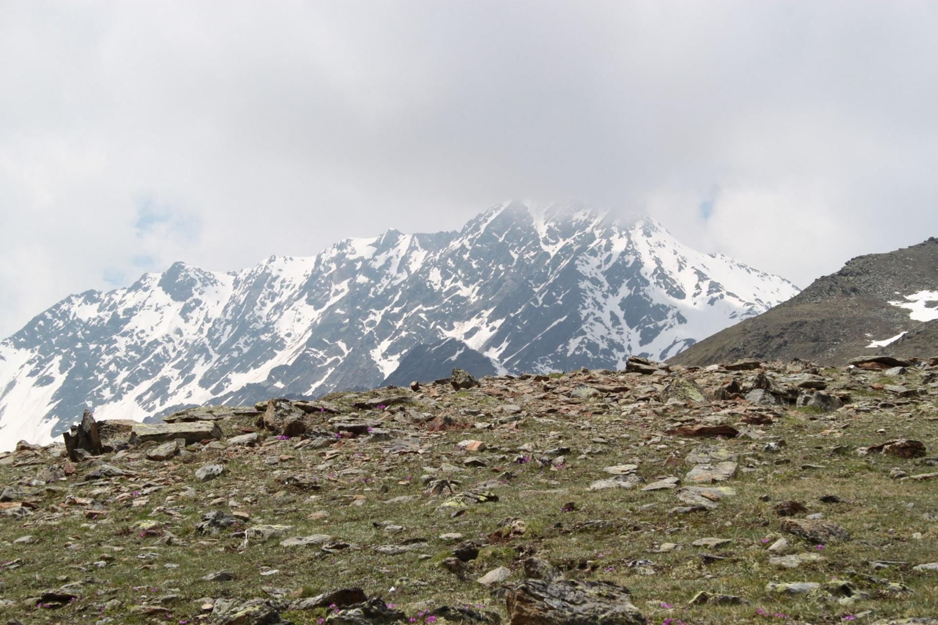 Escursione lungo il sentiero di Ötzi Senales 3 suedtirol.info
