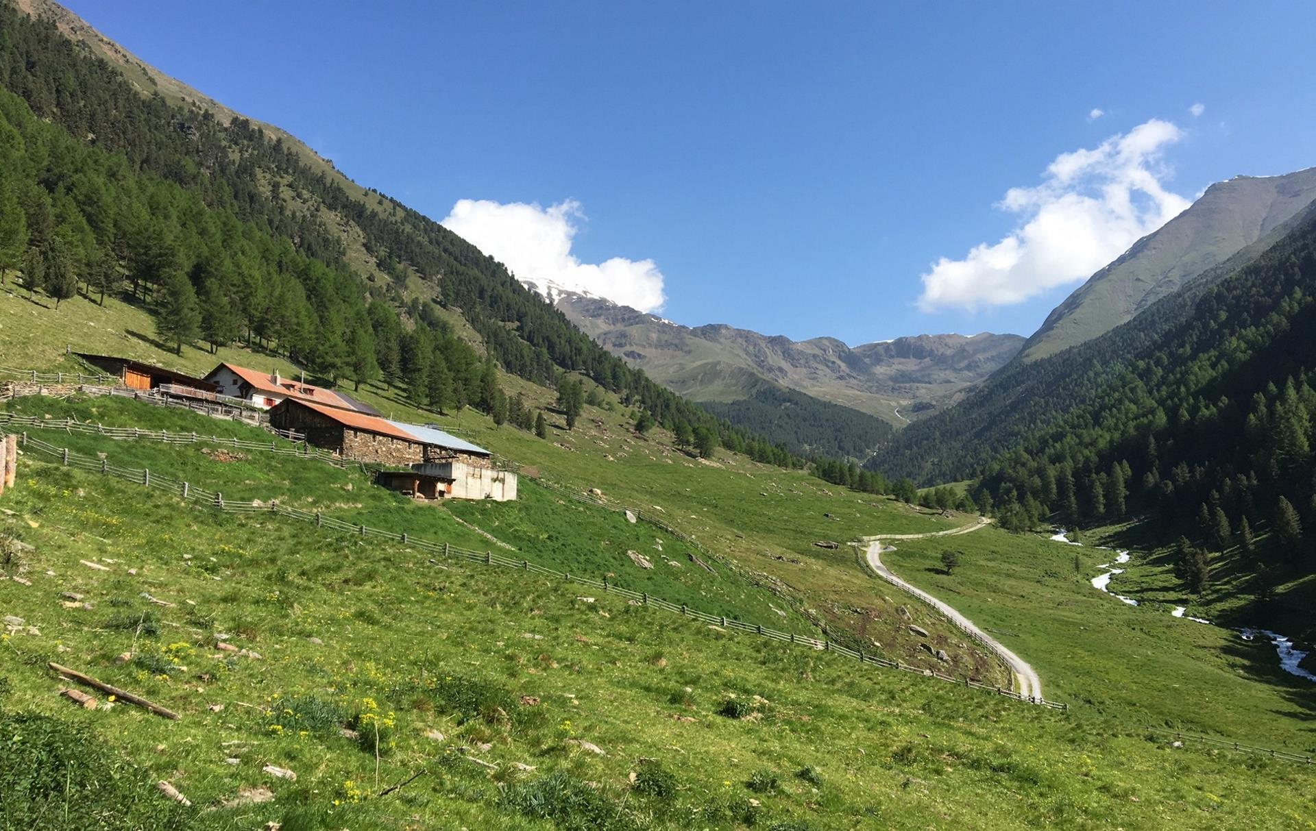 Escursione lungo il sentiero di Ötzi Senales 2 suedtirol.info