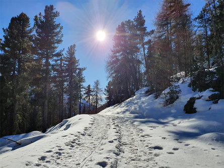 Escursione invernale nella Val di Mazia Malles 2 suedtirol.info