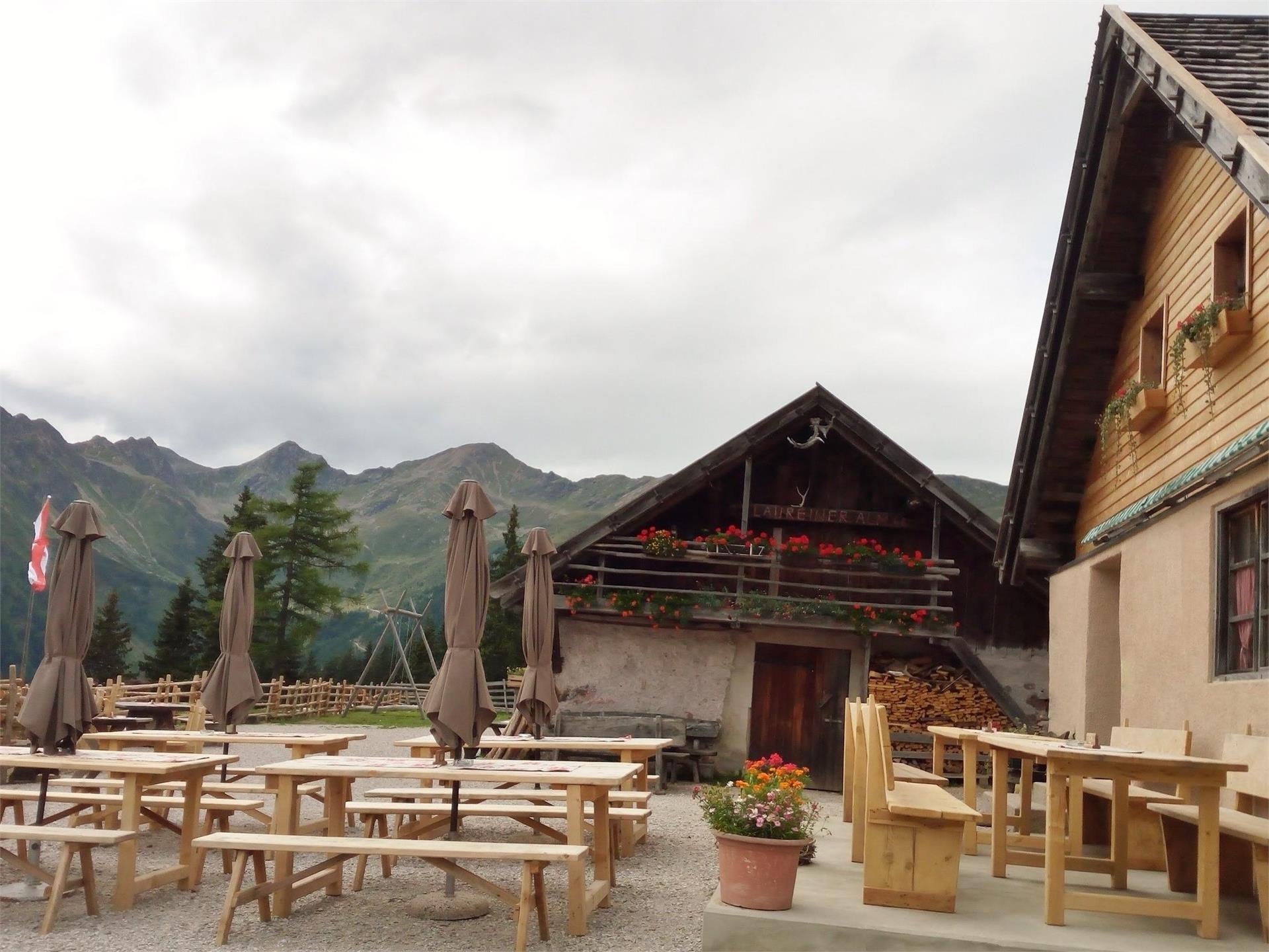 Escursione alla malga Lauregno Ultimo 1 suedtirol.info