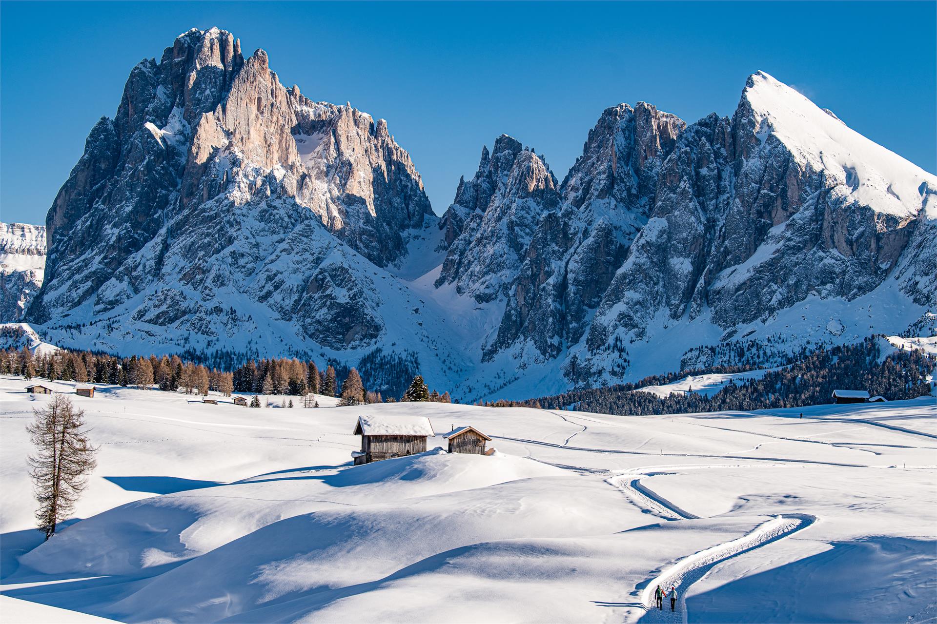 Winterwanderung zum Mont Seuc Kastelruth 2 suedtirol.info